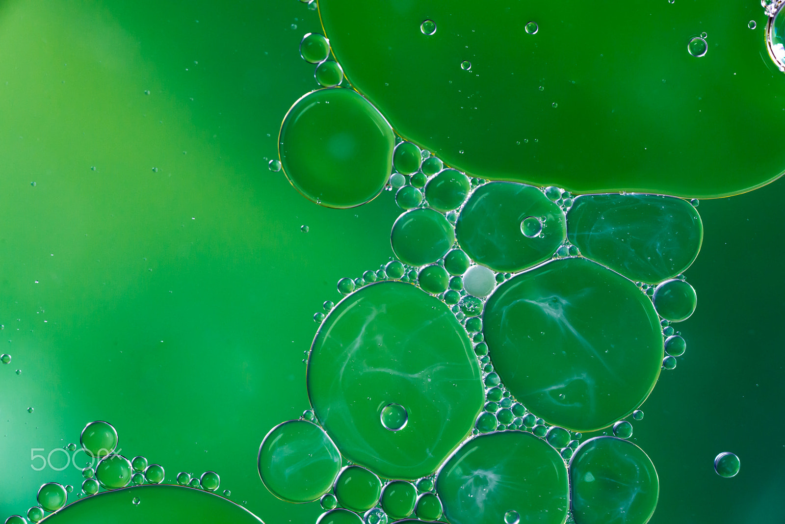 Nikon D610 sample photo. Green oil and water composition photography
