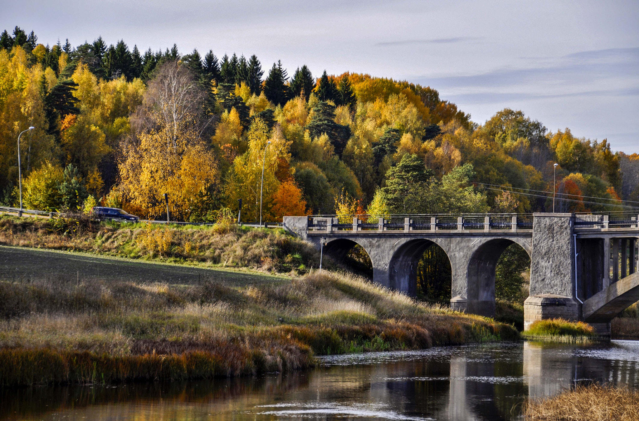 Nikon D5000 sample photo. Fall at the bridge photography