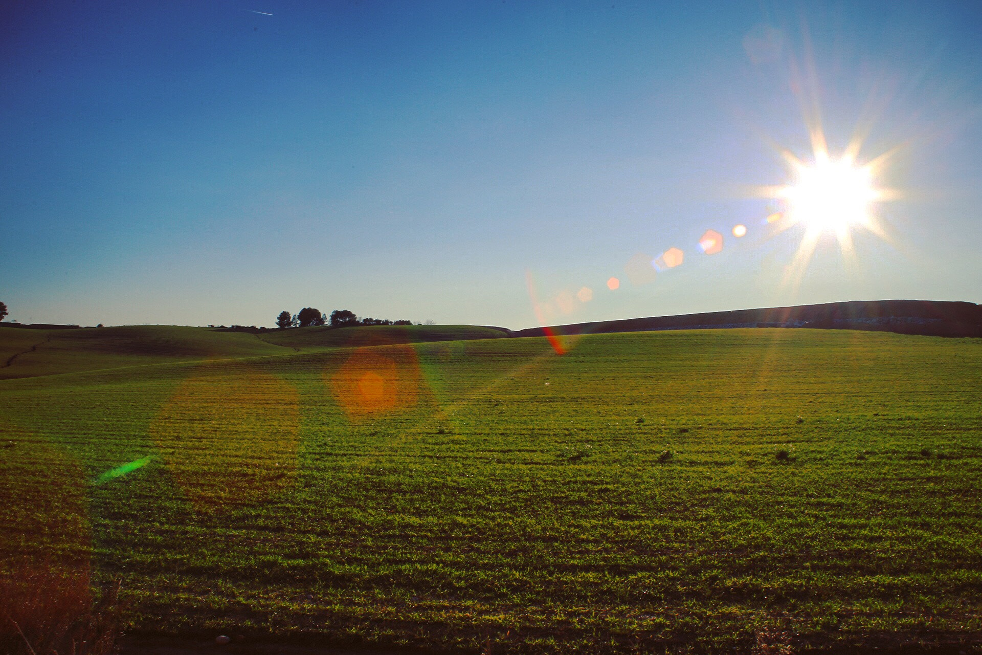 Canon EF 28-80mm f/3.5-5.6 sample photo
