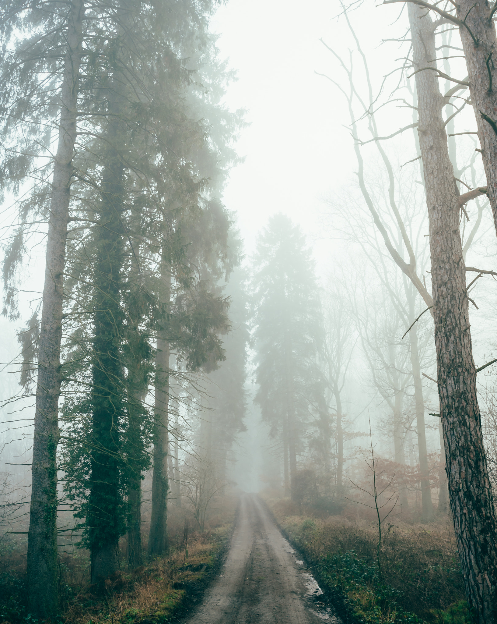 AF Zoom-Nikkor 28-100mm f/3.5-5.6G sample photo. Misty roads photography