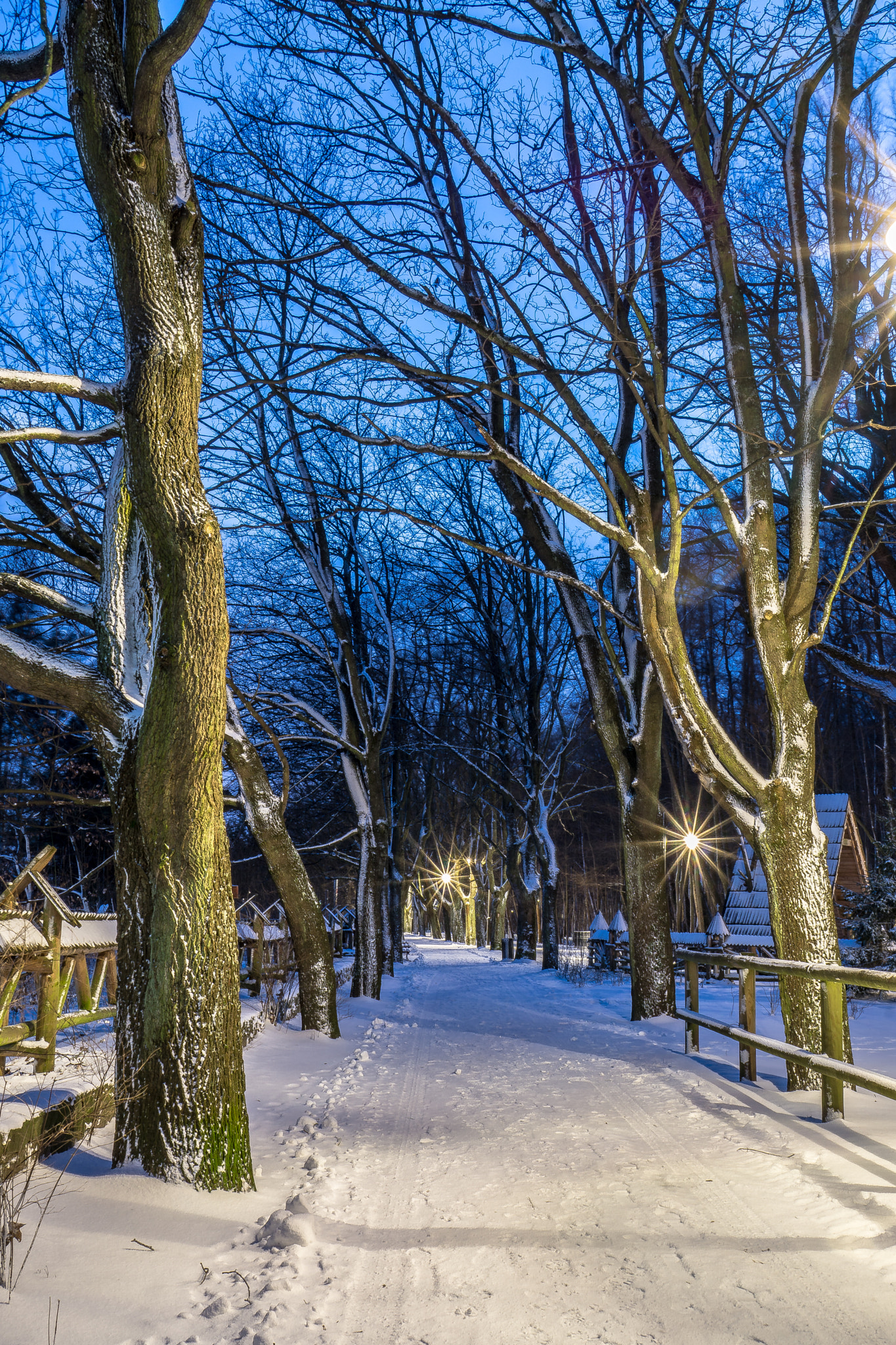 Sony a6000 sample photo. Gdynia by night photography