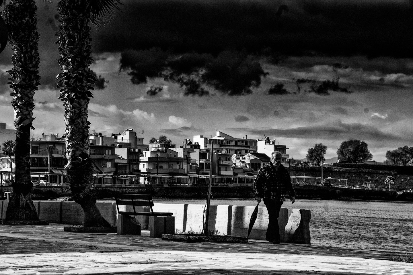 Sigma 18-250mm F3.5-6.3 DC OS HSM sample photo. Morning walk photography