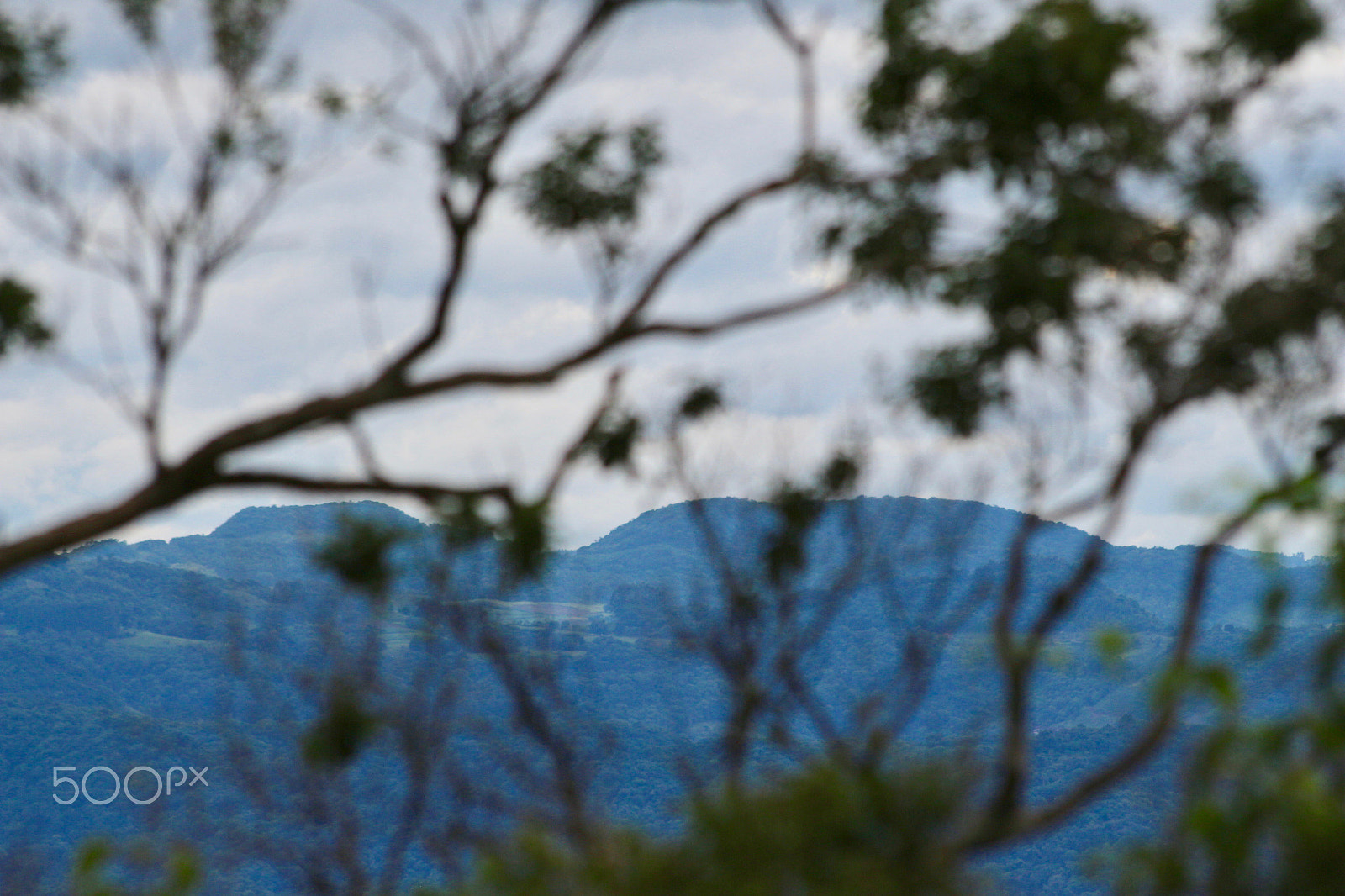 Canon EF 70-300mm F4-5.6 IS USM sample photo. View behind the trees photography