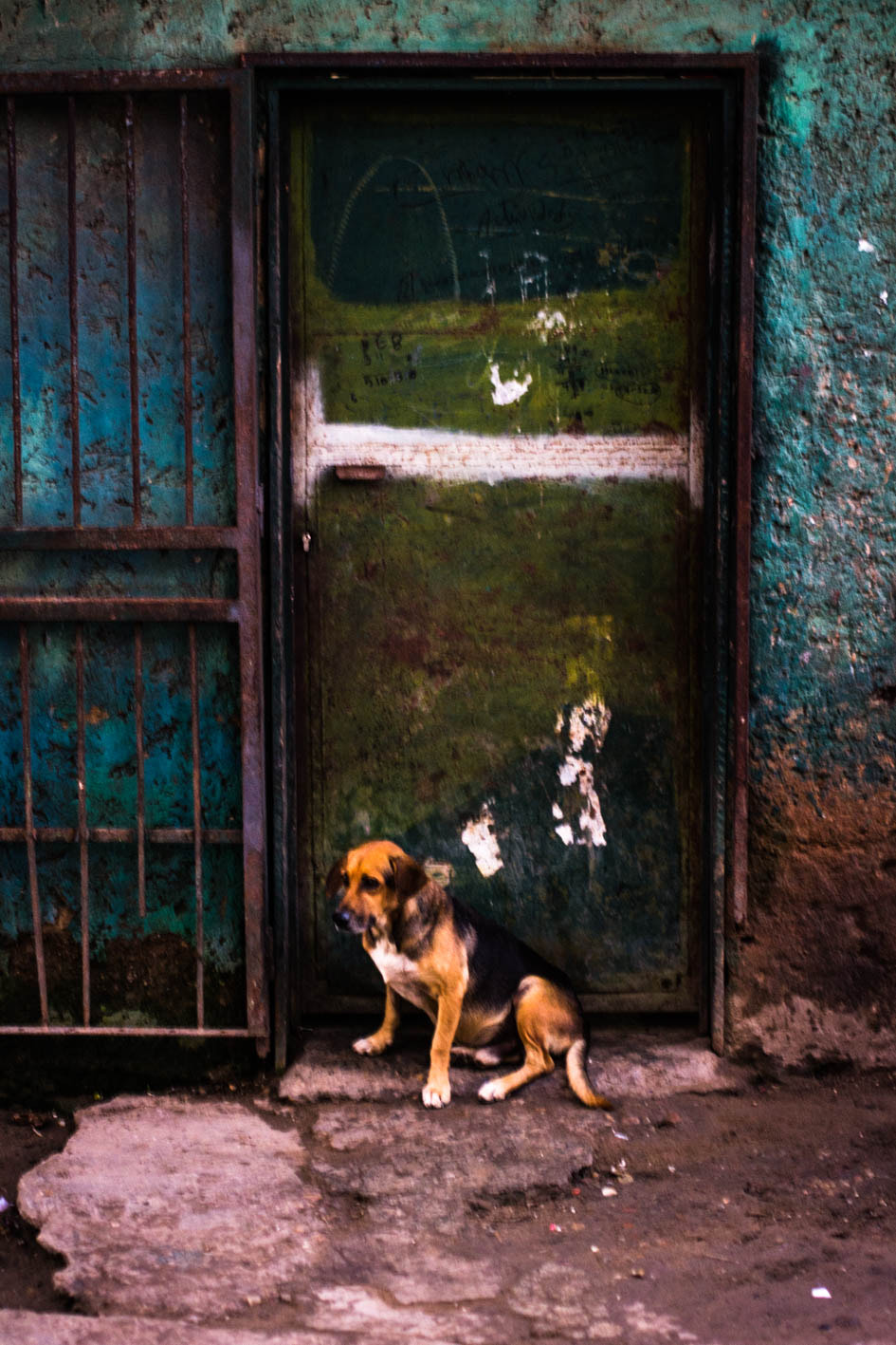 Nikon D7100 + Sigma 50mm F1.4 EX DG HSM sample photo. Open the door please..!! photography