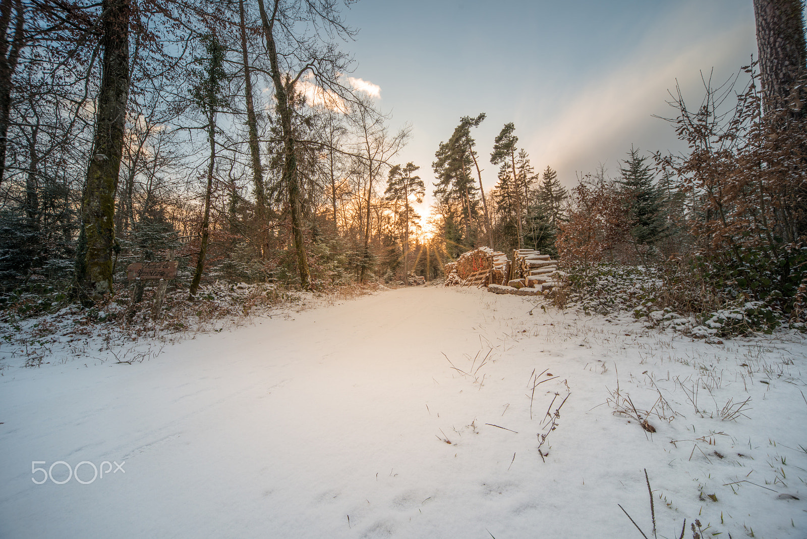 Nikon D800 sample photo. Snow photography