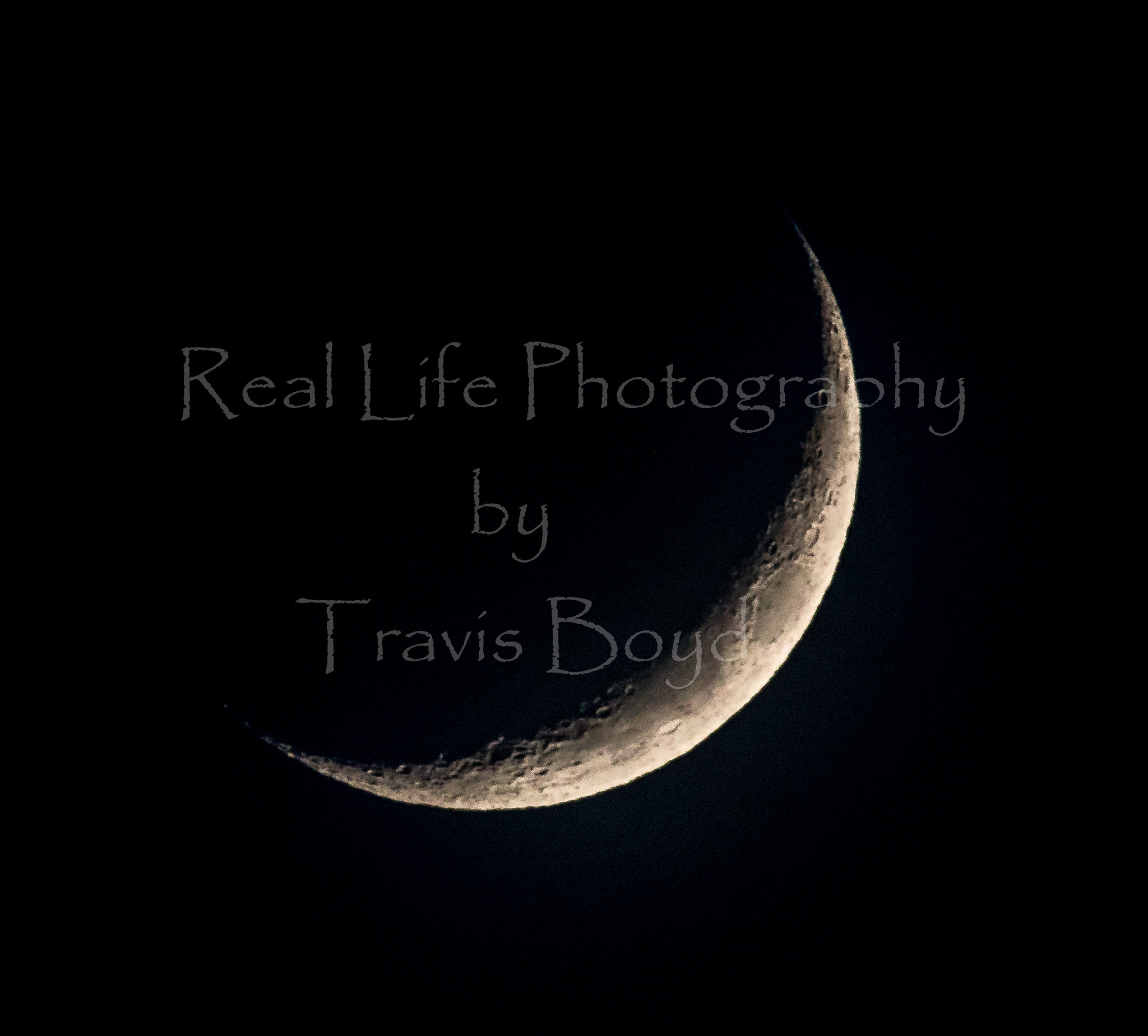 150-600mm F5-6.3 DG OS HSM | Sports 014 sample photo. Silver quarter moon photography