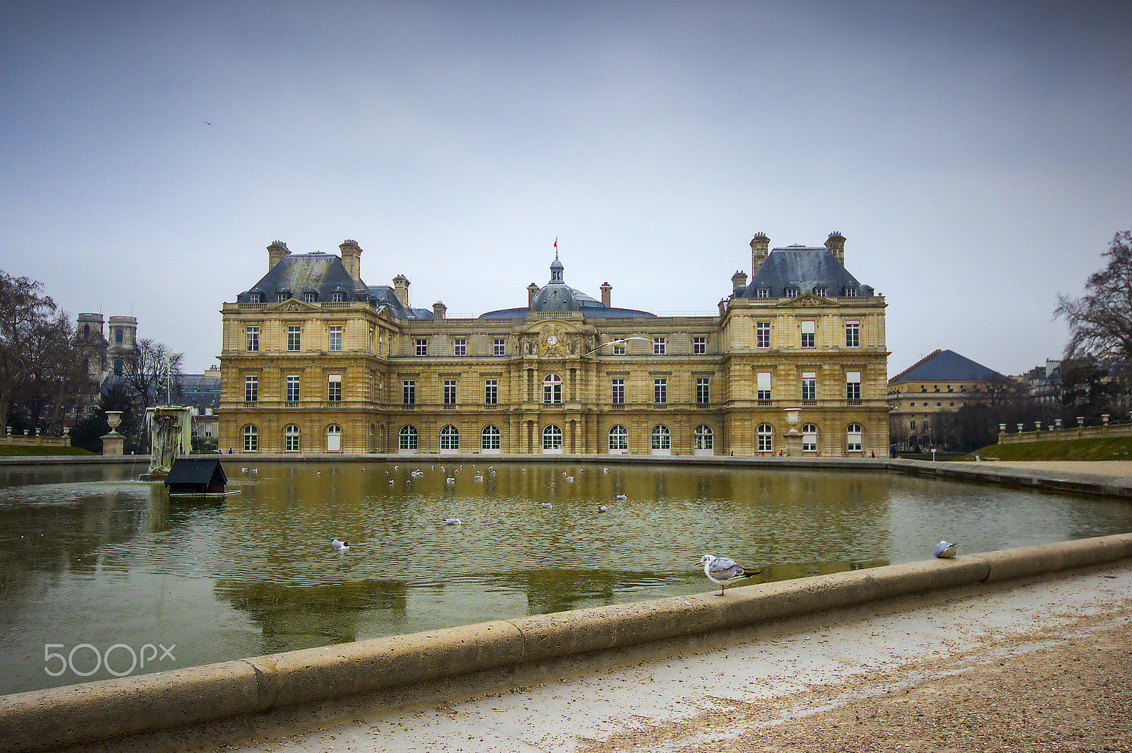 Canon EOS 600D (Rebel EOS T3i / EOS Kiss X5) sample photo. Luxembourg palace photography