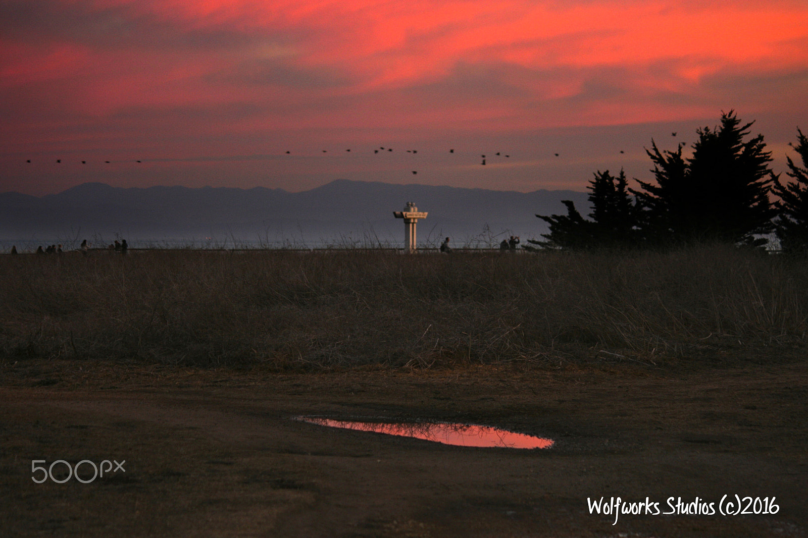 Canon EF-S 55-250mm F4-5.6 IS sample photo. Sunset at lighthouse field photography