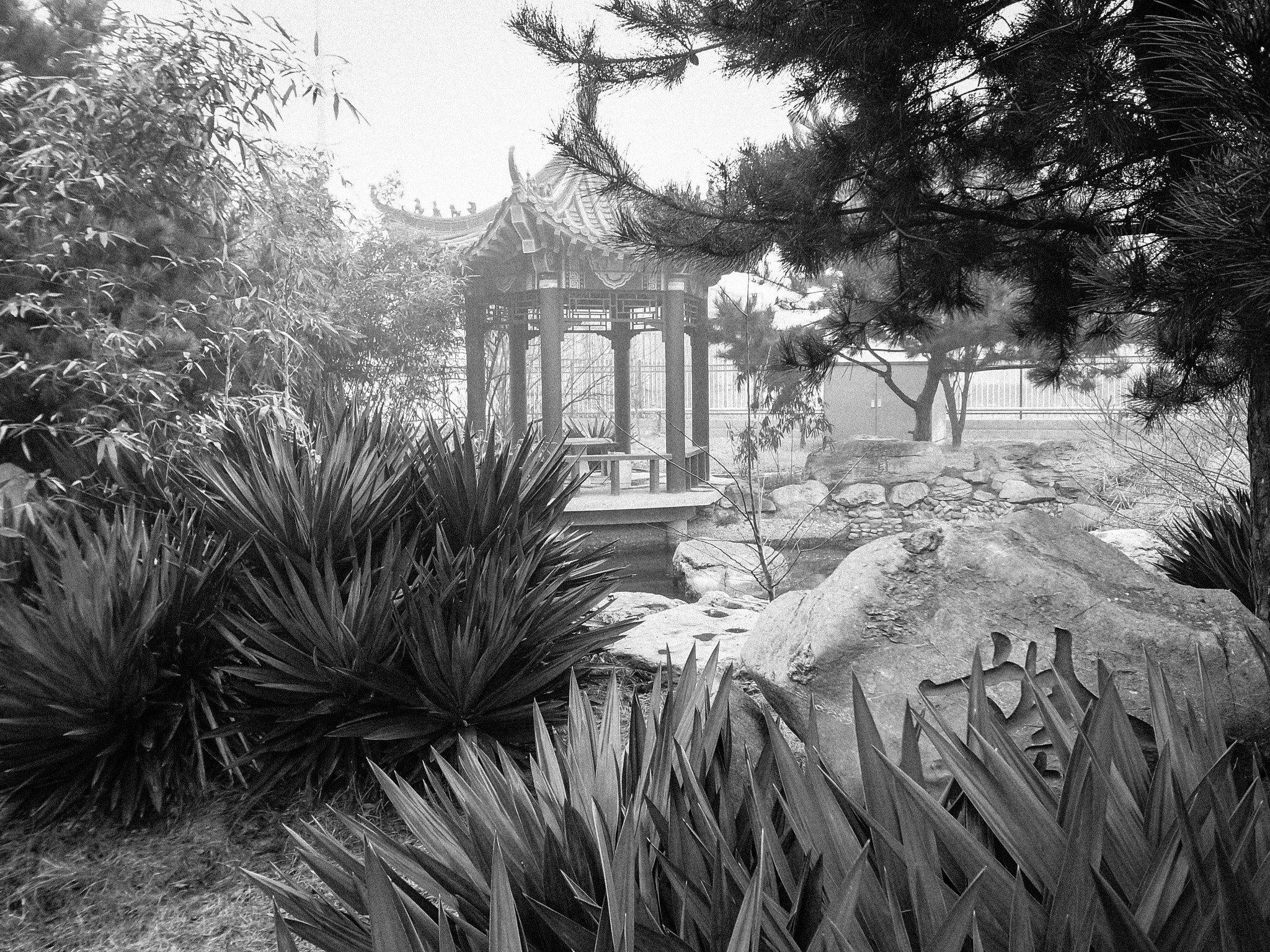 Ricoh GR DIGITAL 3 sample photo