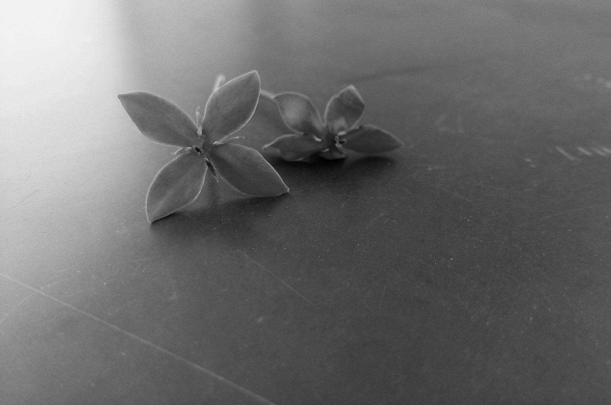 ASUS Zenfone Go (ASUS_Z00VD) sample photo