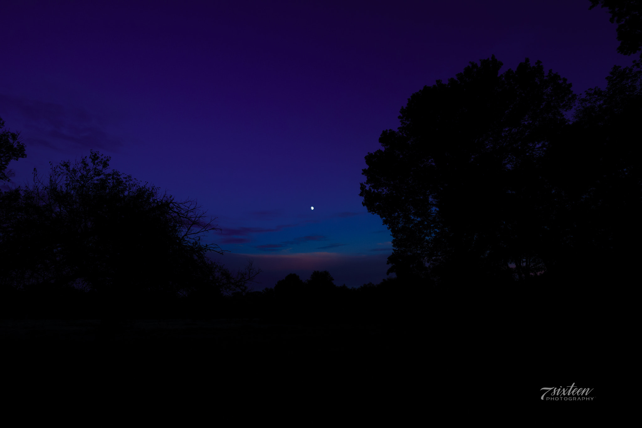 Nikon D500 sample photo. Night sky photography