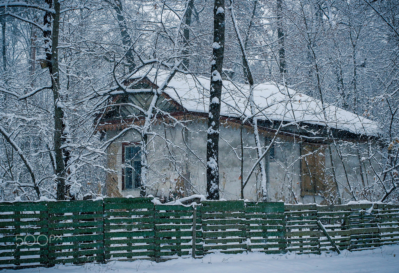 Canon EF 40mm F2.8 STM sample photo. Сон старої хати photography