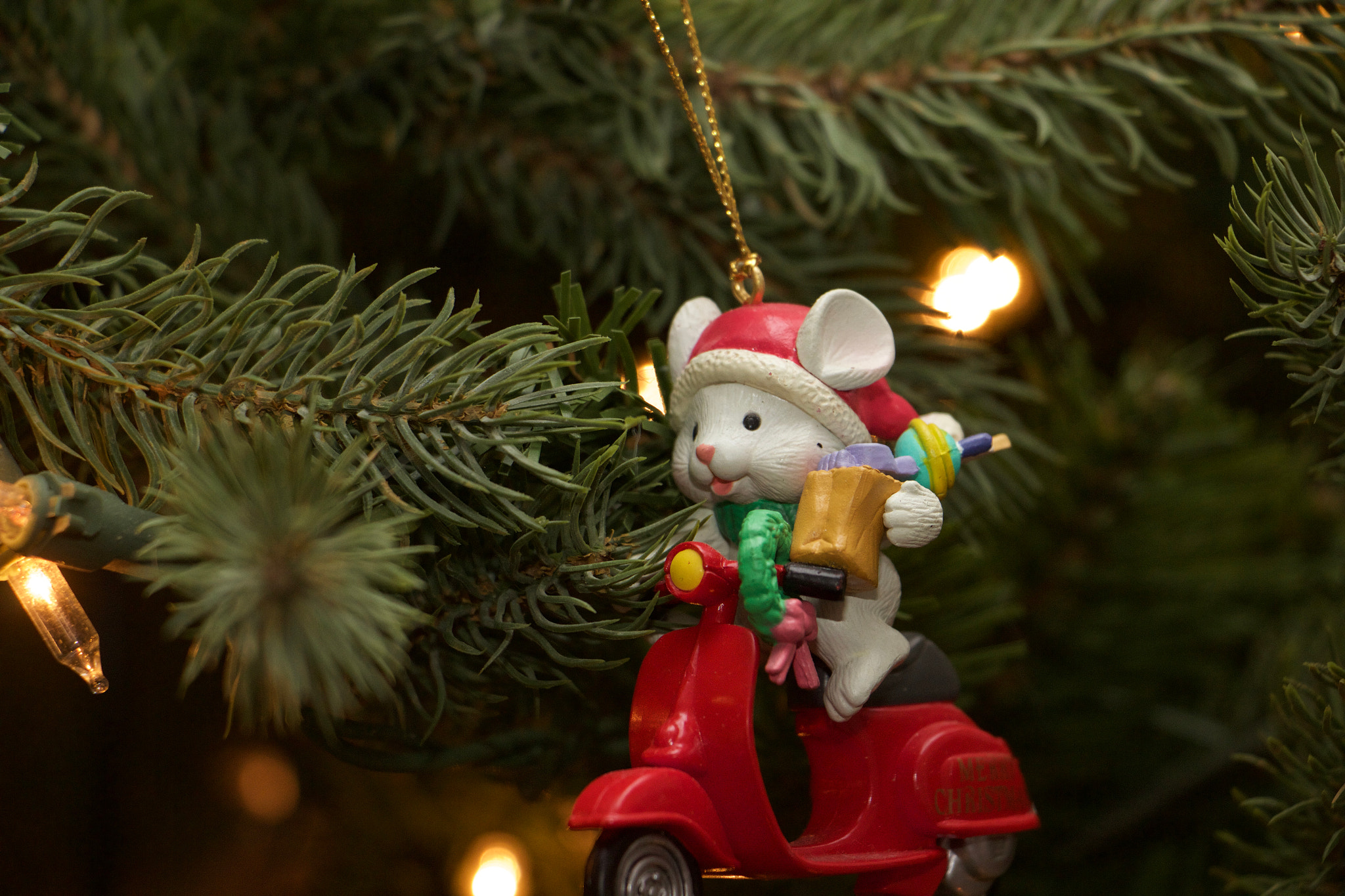 Canon EOS 600D (Rebel EOS T3i / EOS Kiss X5) sample photo. Little mouse photography