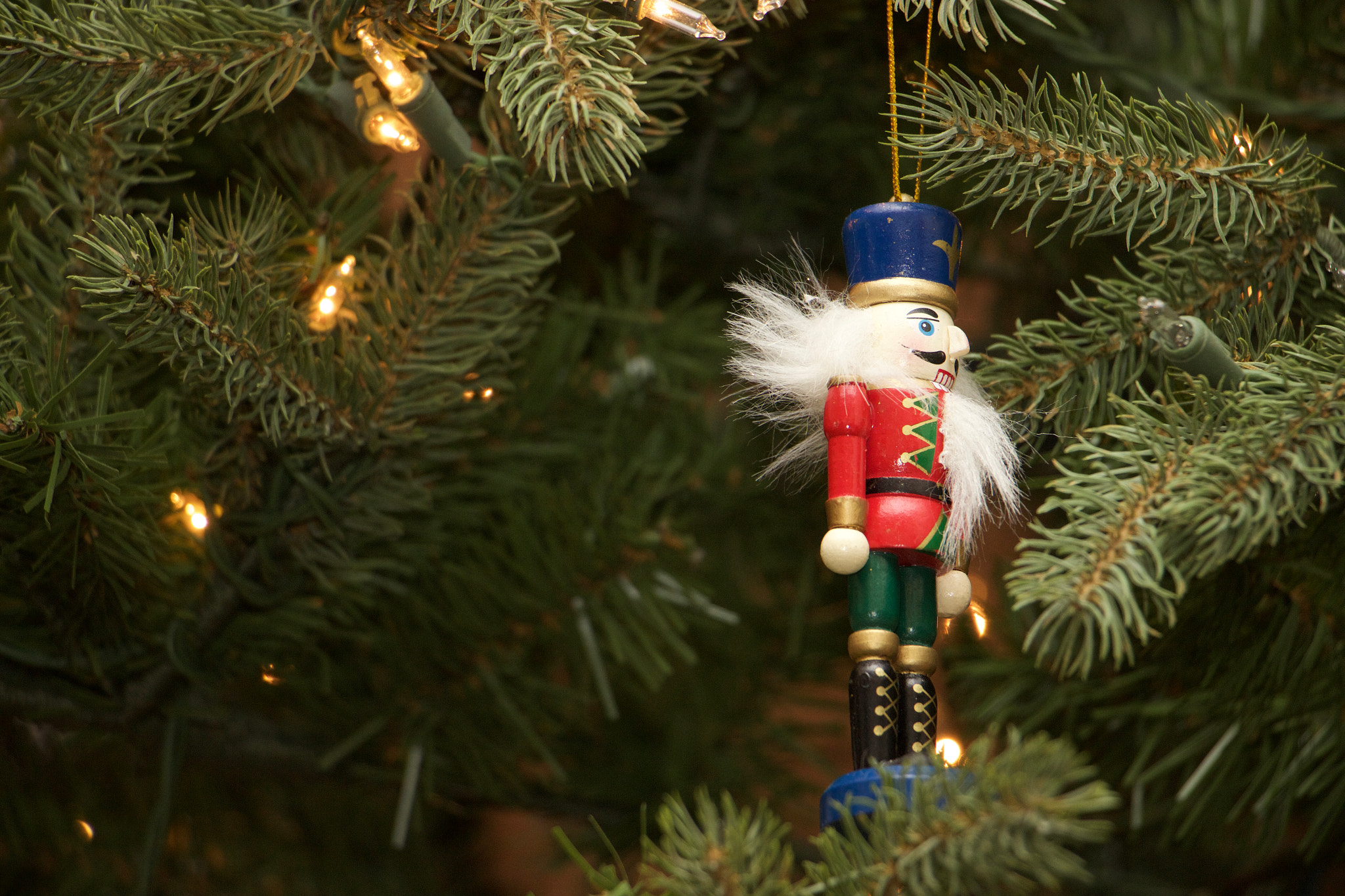 Canon EOS 600D (Rebel EOS T3i / EOS Kiss X5) sample photo. The nutcracker photography