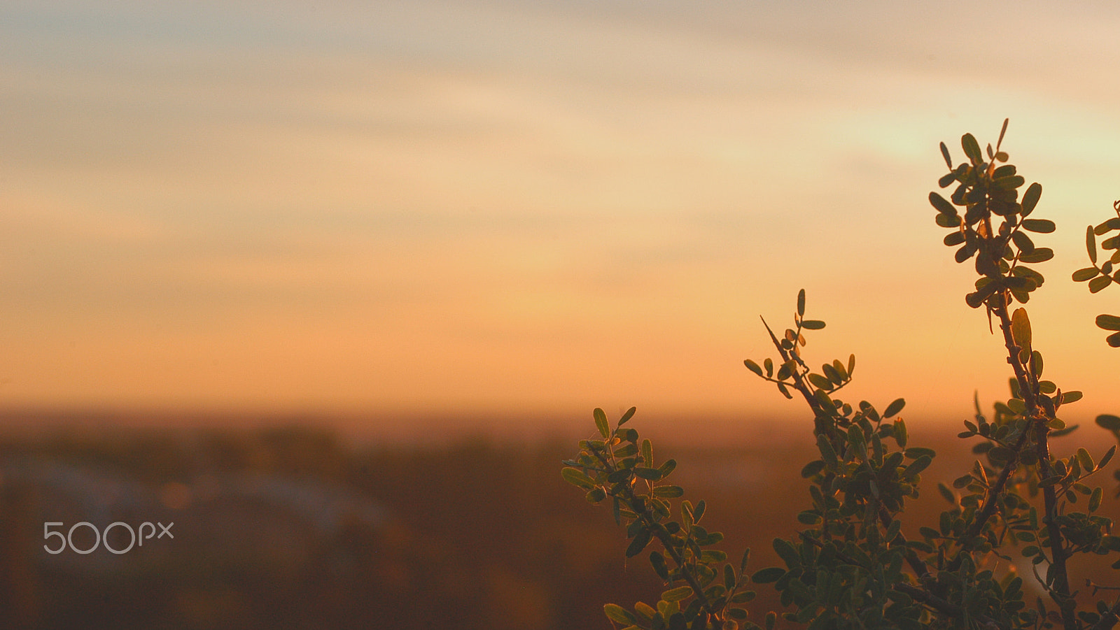Nikon D100 sample photo. Sunset photography