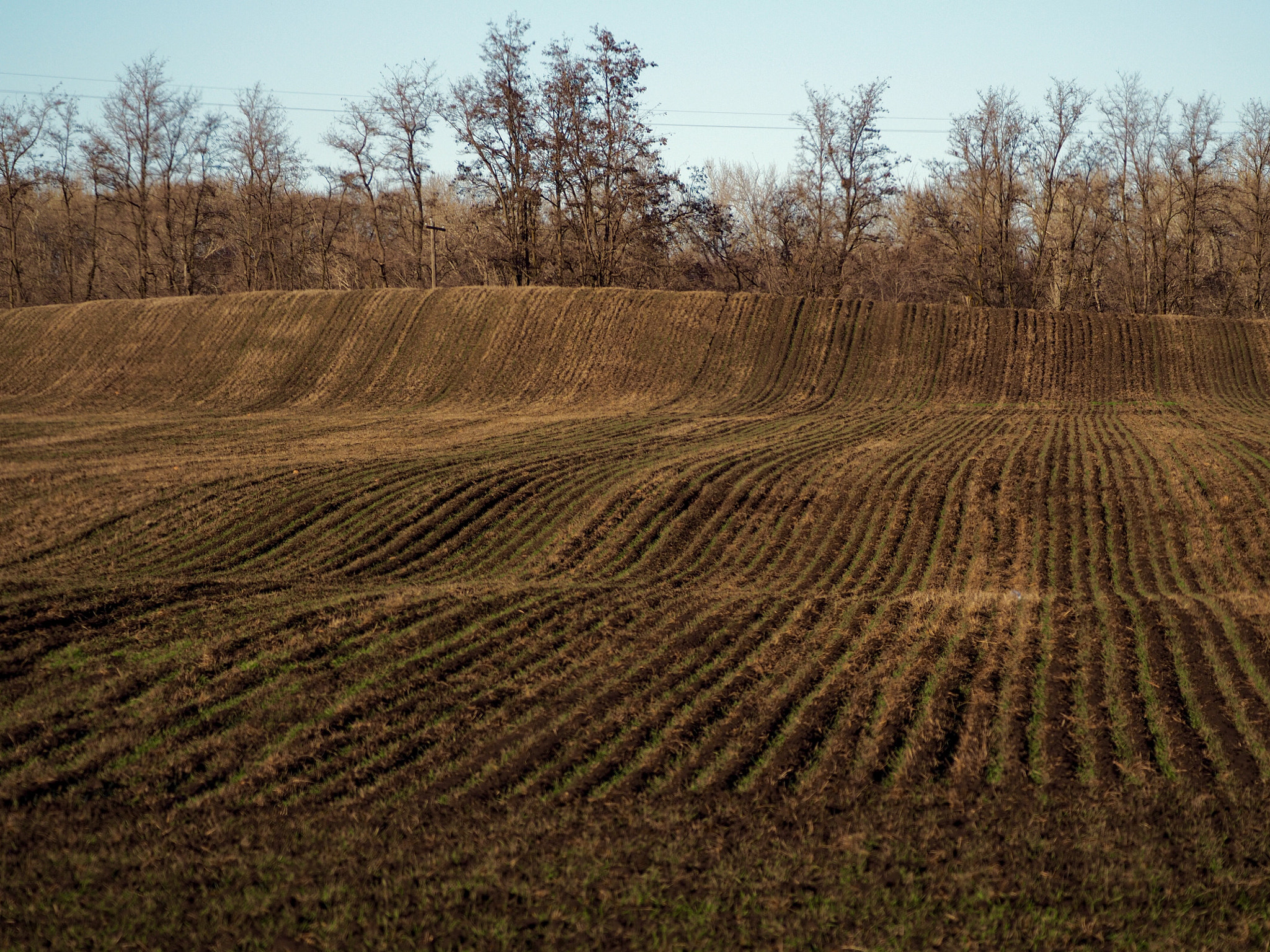 Olympus OM-D E-M5 II sample photo. Winter fields photography