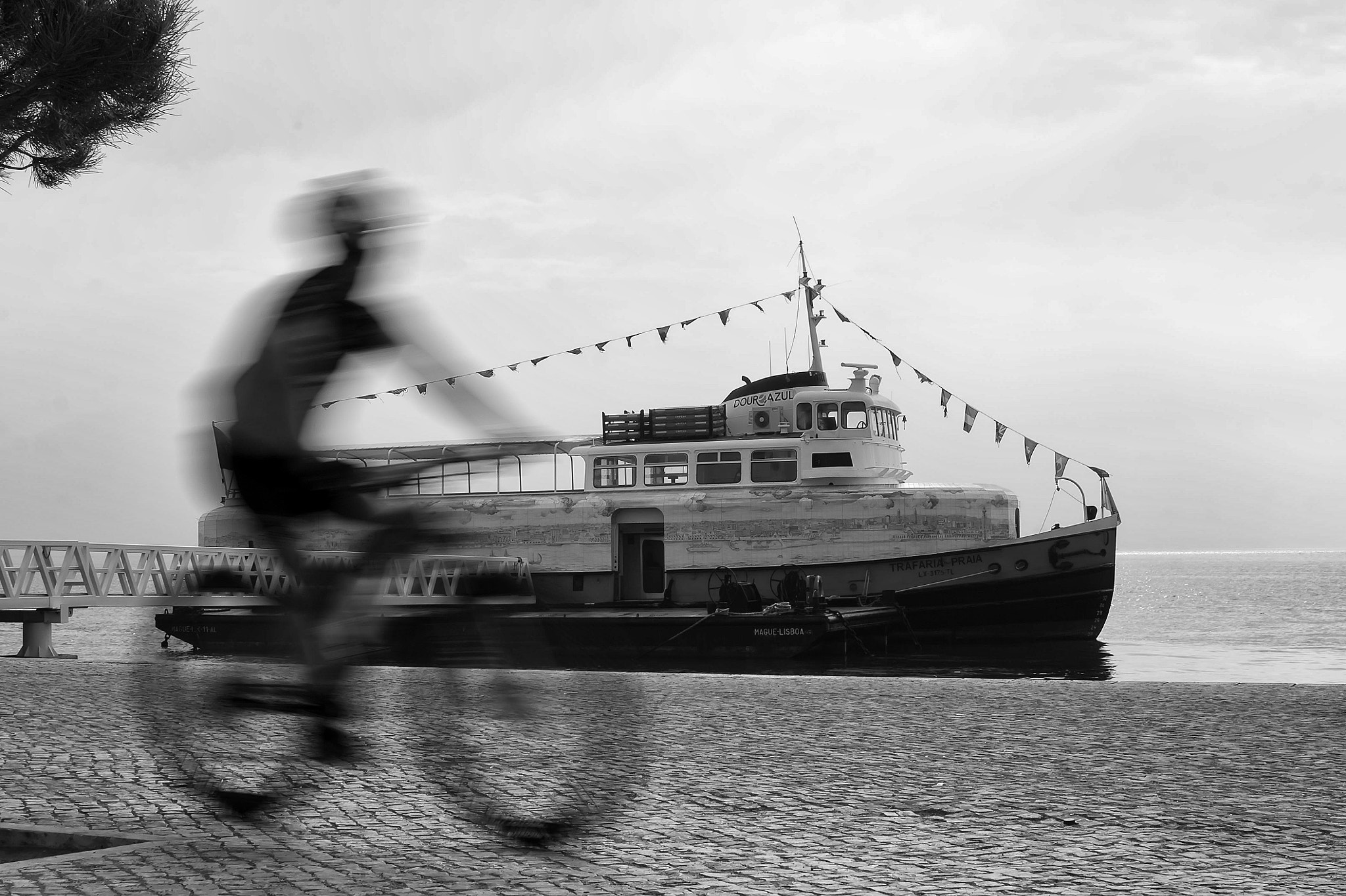 Canon EOS 60D + Sigma 30mm f/1.4 DC HSM sample photo. Speed... photography