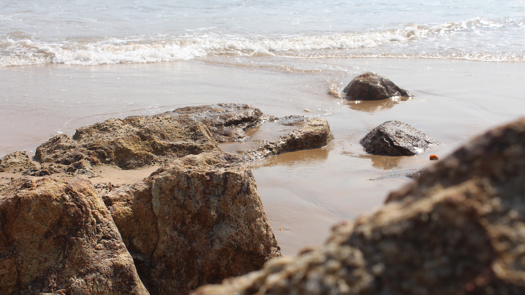 Canon EOS 700D (EOS Rebel T5i / EOS Kiss X7i) sample photo. Img photography