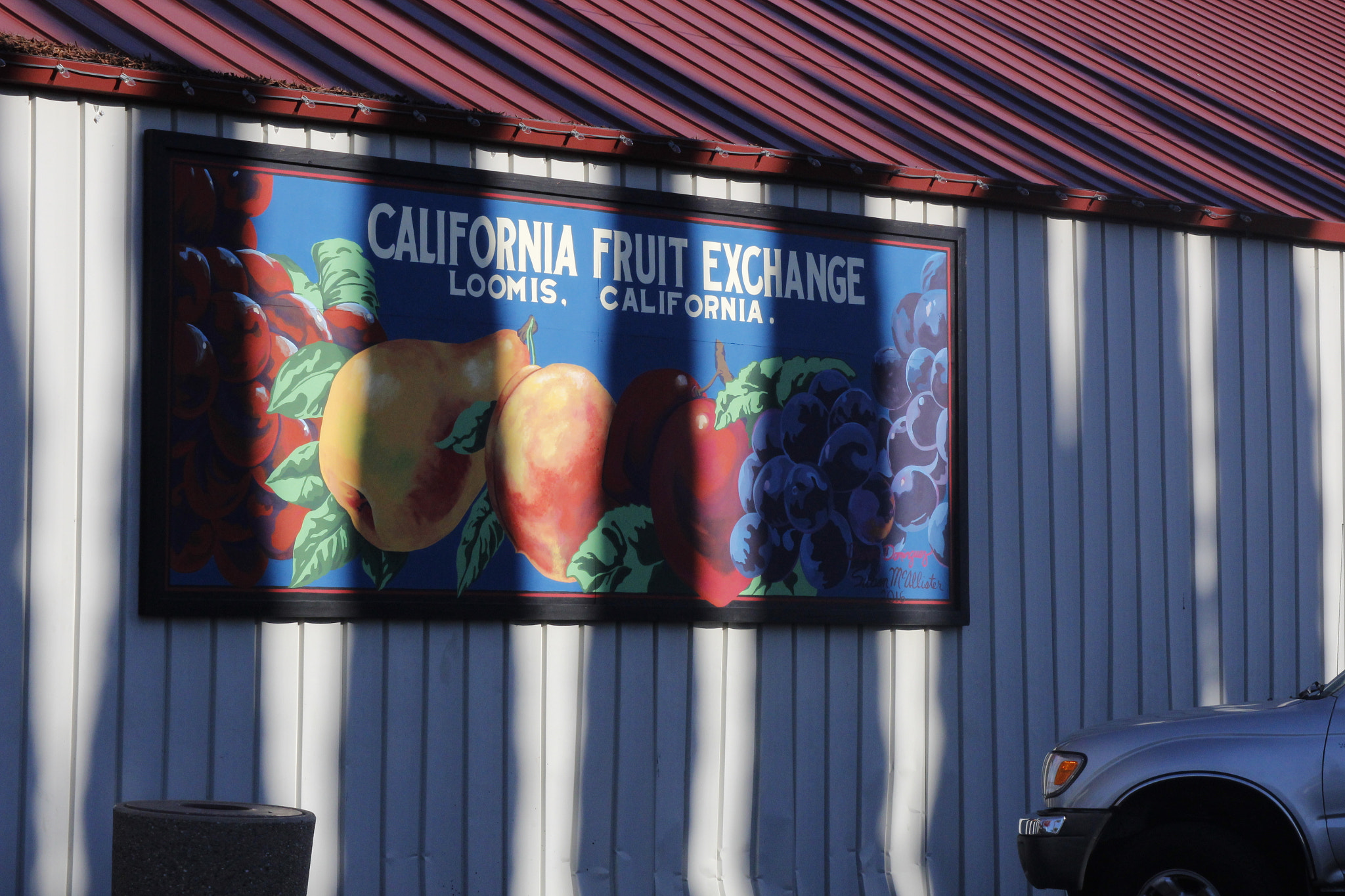 Canon EF 28-90mm f/4-5.6 sample photo. Loomis' fruit photography