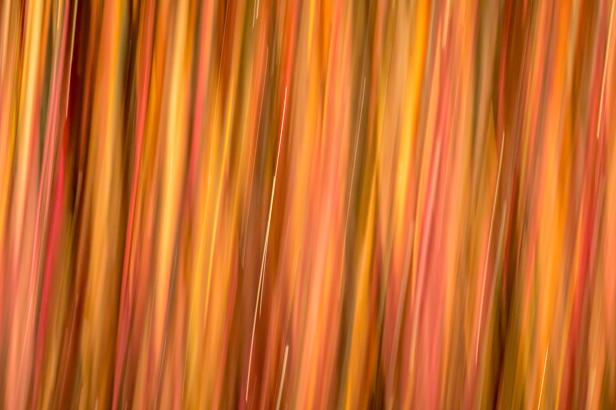 Canon EF 100mm F2.8 Macro USM sample photo. Lines and light photography