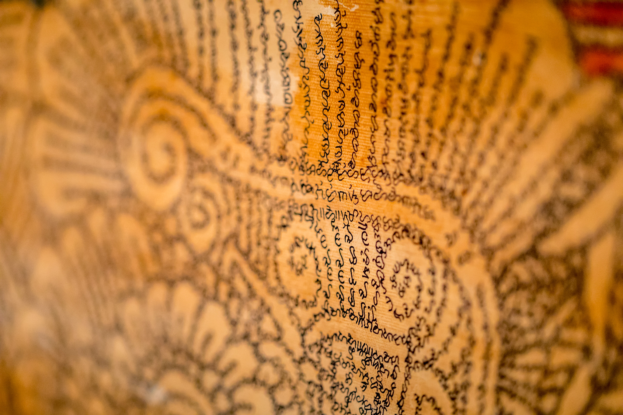 Canon EF 100mm F2.8 Macro USM sample photo. Scripts photography