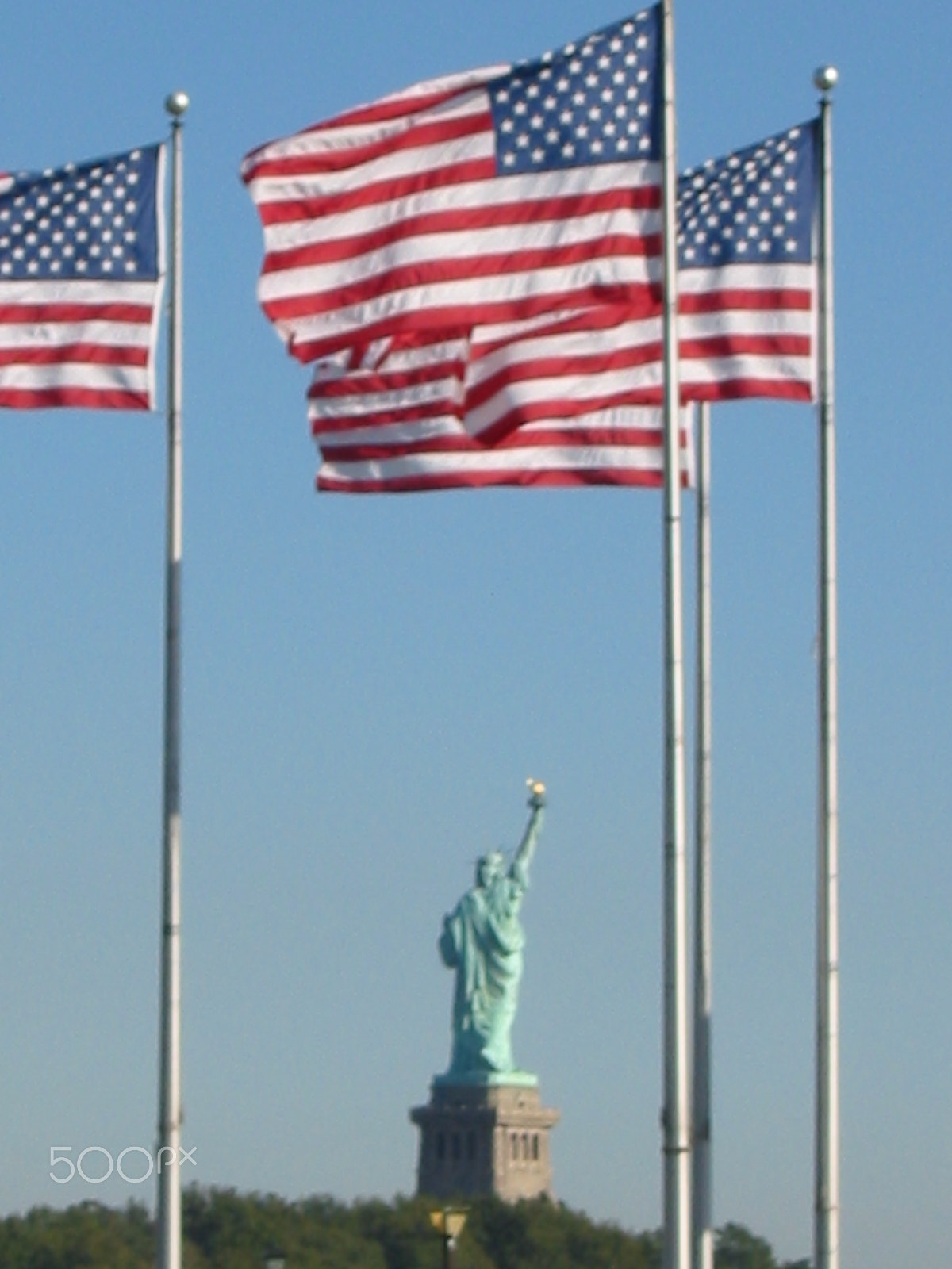 Canon POWERSHOT A40 sample photo. Flags with statue of liberty in background photography