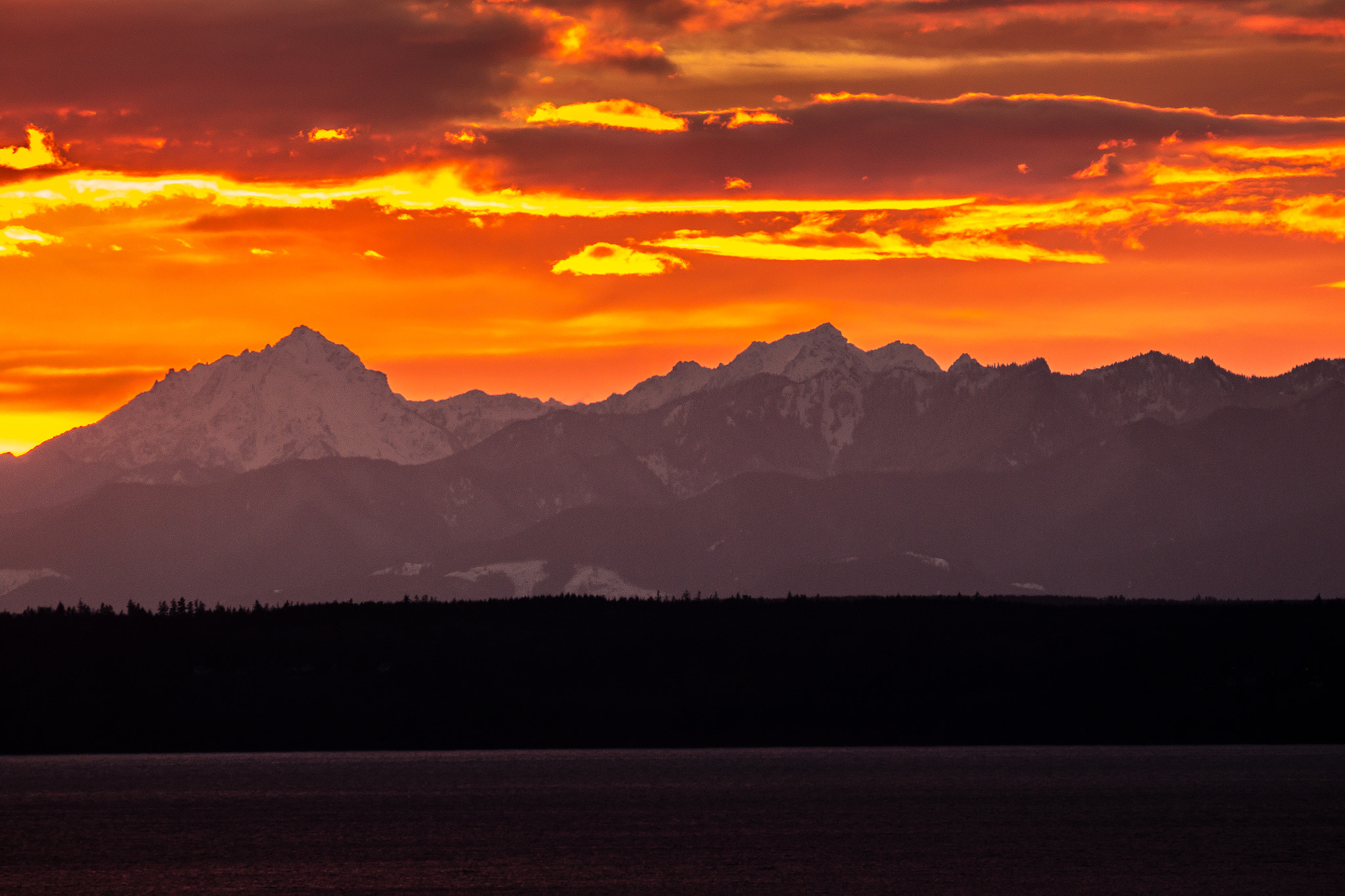 150-600mm F5-6.3 DG OS HSM | Contemporary 015 sample photo. First sunset photography