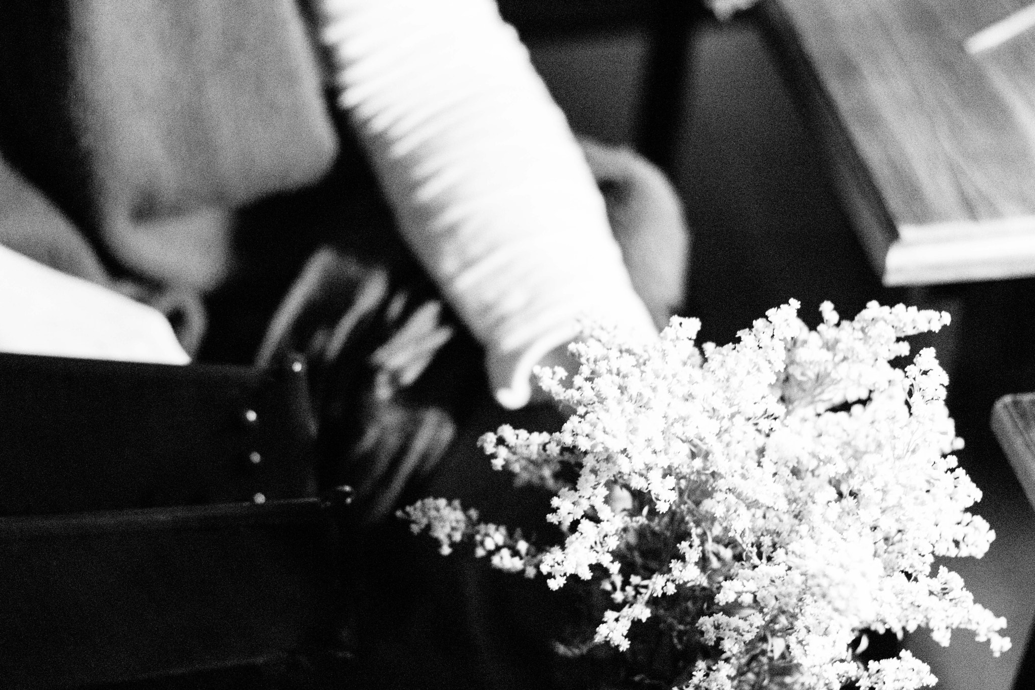 Canon EOS 760D (EOS Rebel T6s / EOS 8000D) + Canon EF 50mm F1.8 II sample photo. Flower photography
