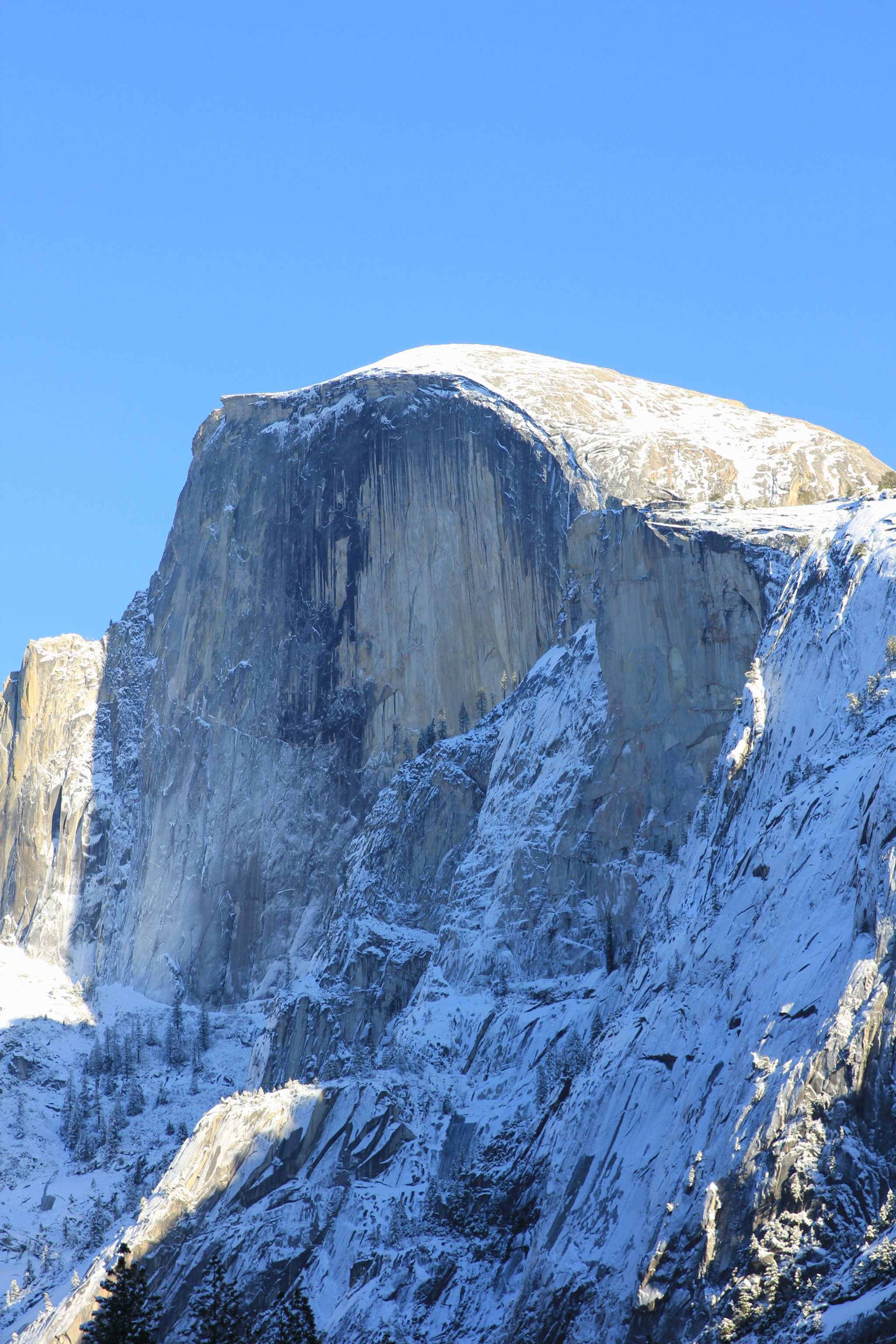 Canon EF 24-70mm F2.8L II USM sample photo. Half dome yosemite photography