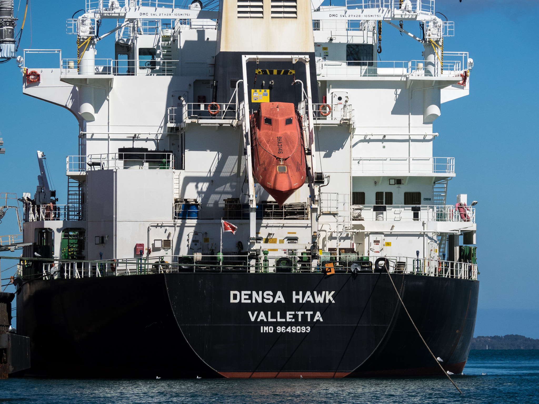 Olympus OM-D E-M1 sample photo. Densa hawk - transom view photography