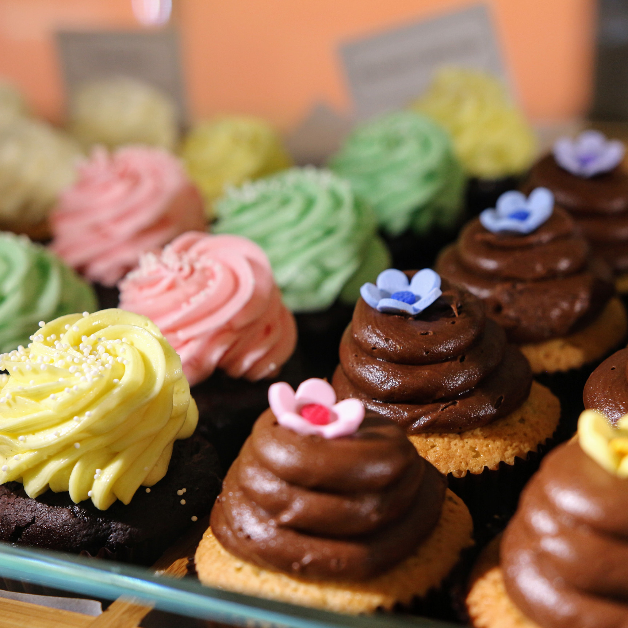 Sigma 18-35mm f/1.8 DC HSM sample photo. Treats photography