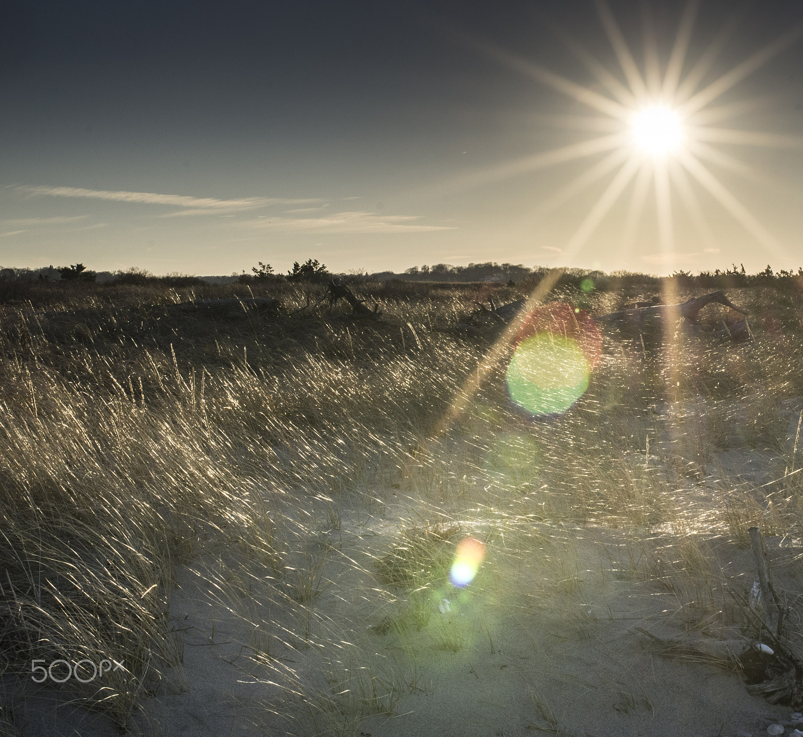 Pentax K-5 + Sigma 35mm F1.4 DG HSM Art sample photo. Shinny harbor before sunset photography