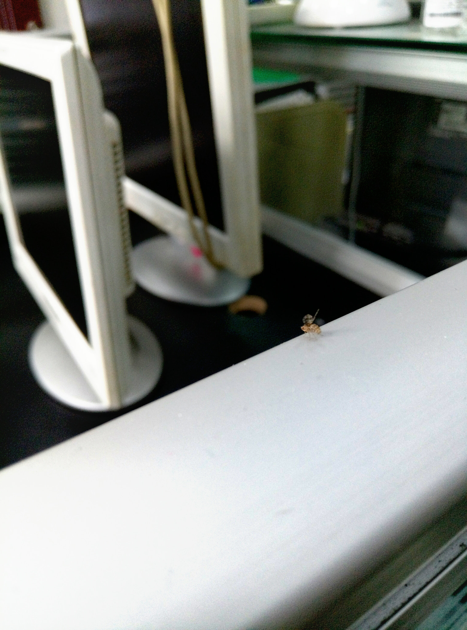 Meizu M3s sample photo. Jump to future photography