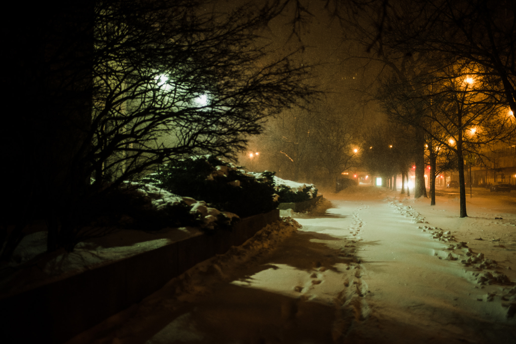 Nikon D610 + Nikon AF-S Nikkor 35mm F1.8G ED sample photo. Park photography