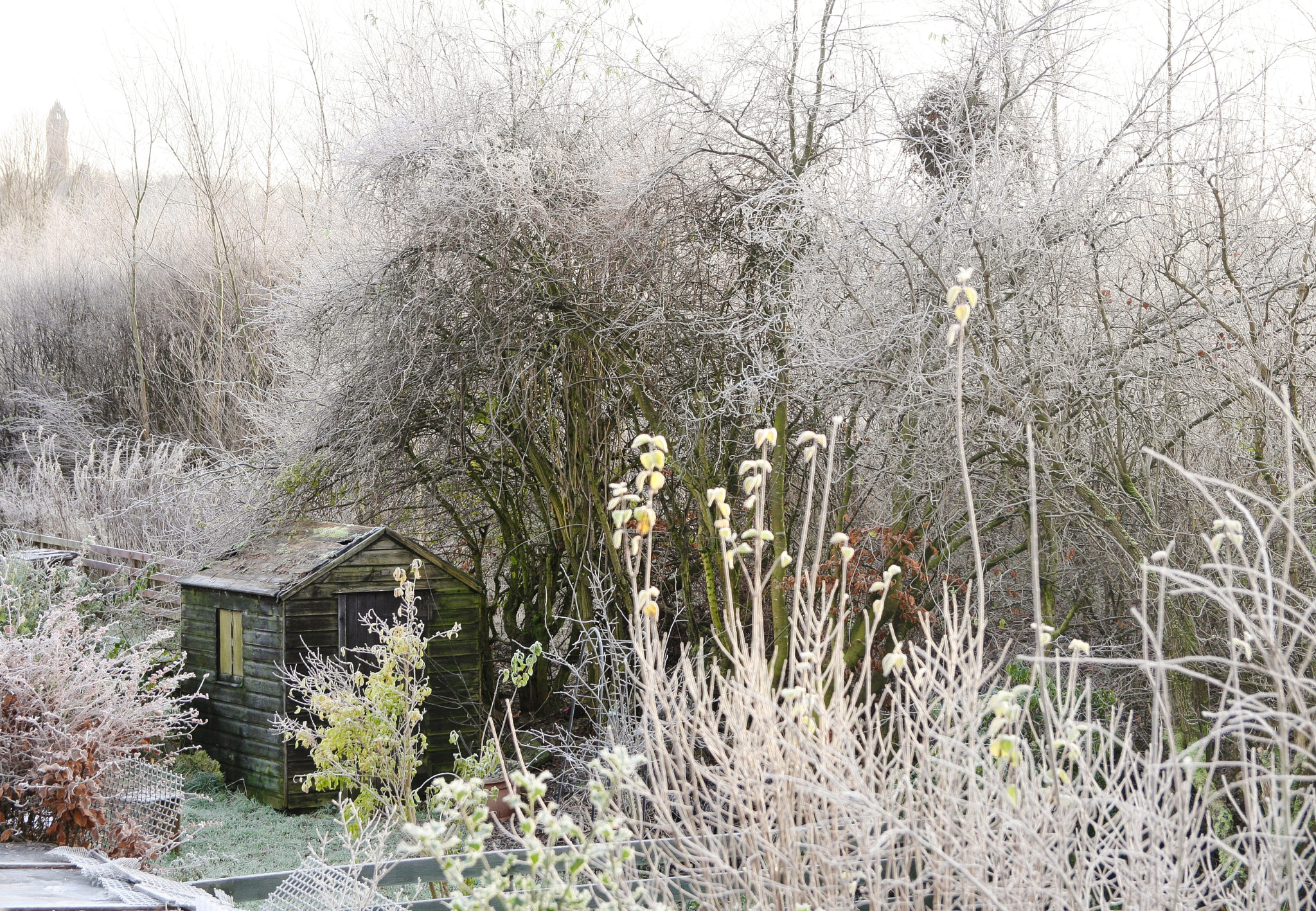 Canon EOS 40D sample photo. White garden in a far away kingdom photography