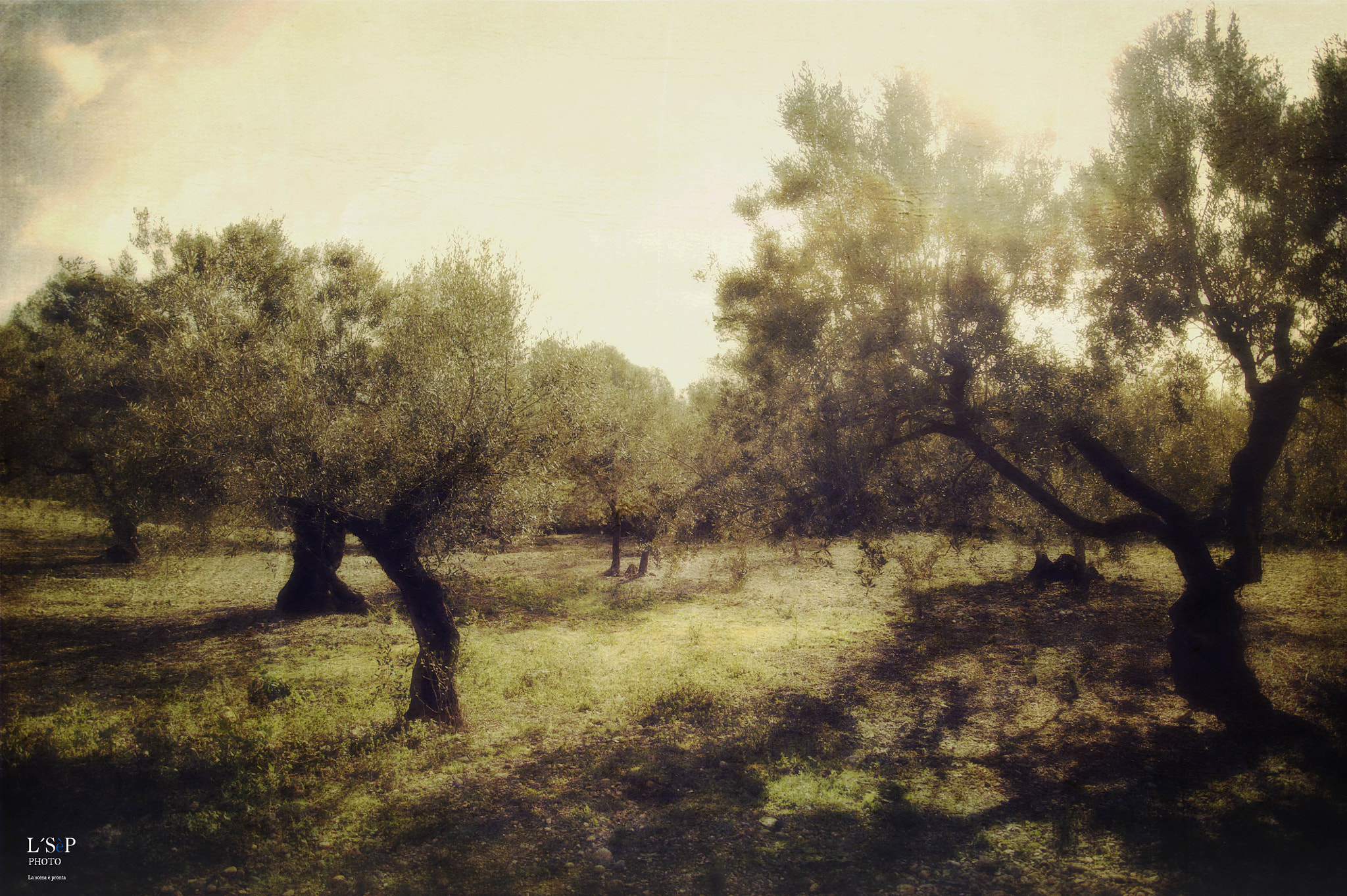 Nikon D3S sample photo. Ullastrell photography