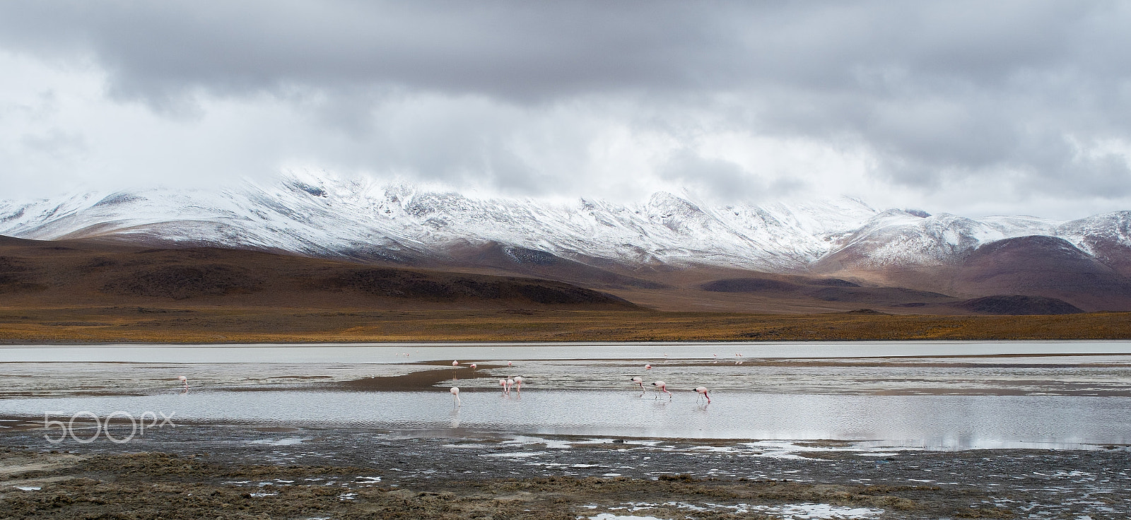 Fujifilm X-Pro1 + ZEISS Touit 32mm F1.8 sample photo. Landscapes photography