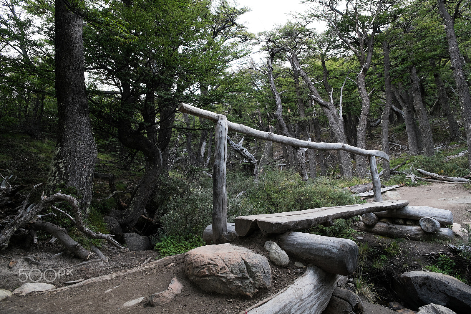 Fujifilm X-Pro1 + ZEISS Touit 12mm F2.8 sample photo. Patagonia photography