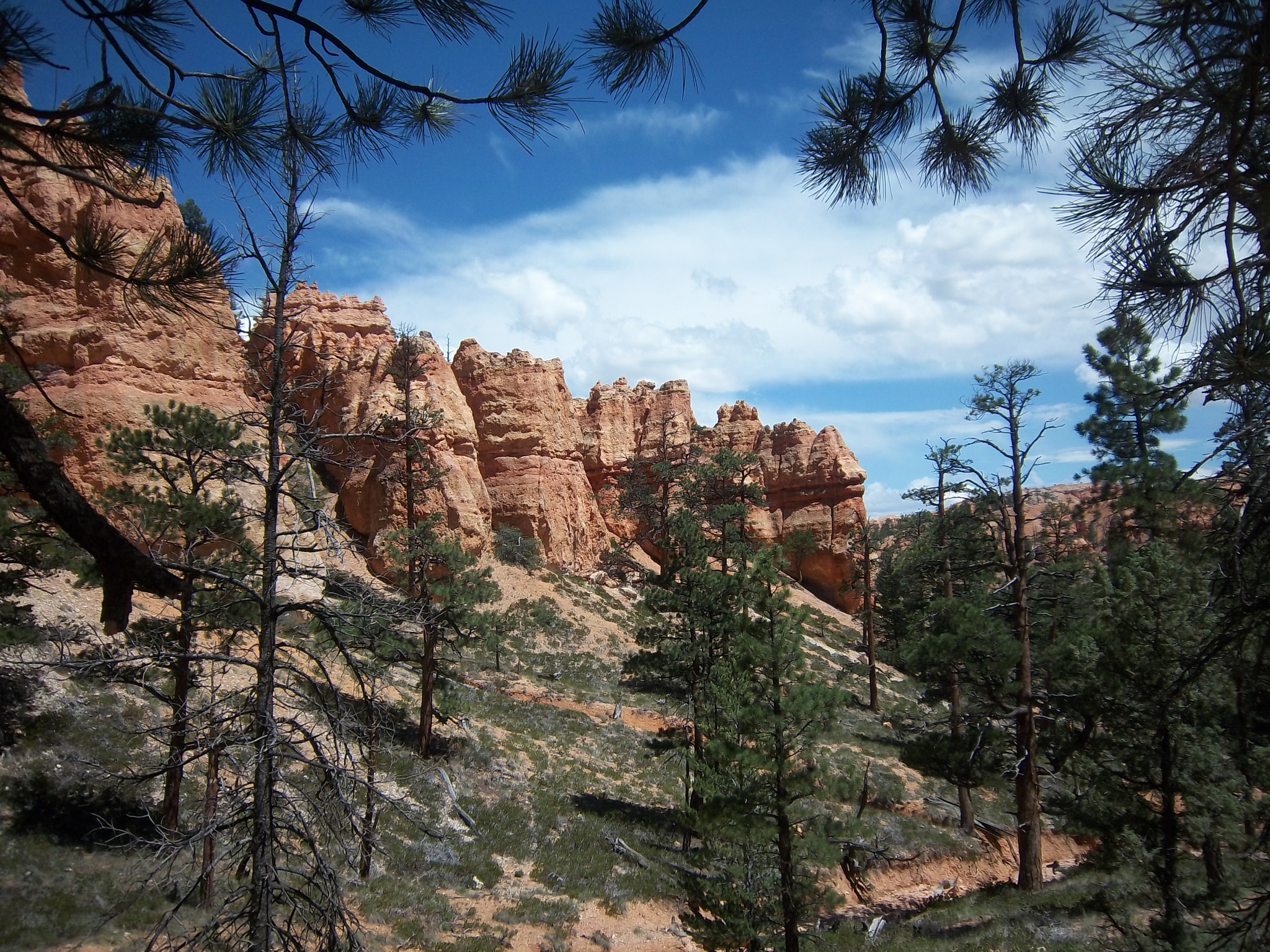 Kodak EasyShare M550 sample photo. Bryce canyon through the trees photography