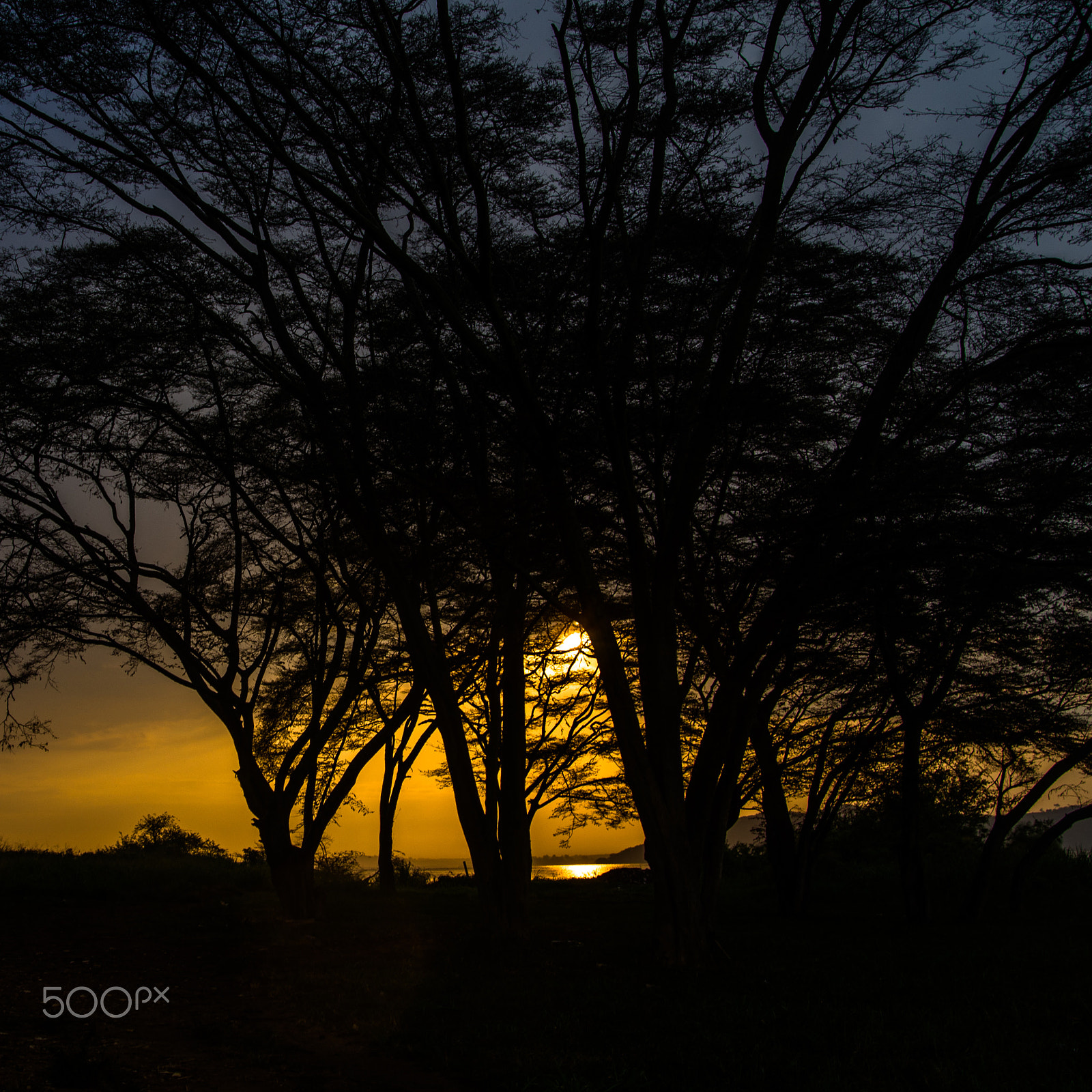 Pentax K-01 sample photo. Silhouette of a sunrise photography