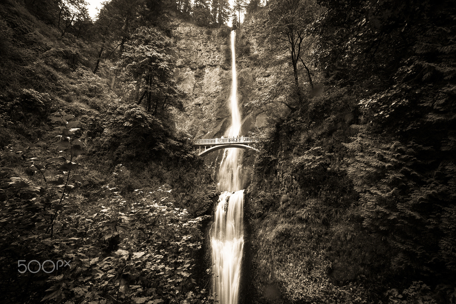 Fujifilm X-Pro1 + ZEISS Touit 12mm F2.8 sample photo. Multnomah falls photography