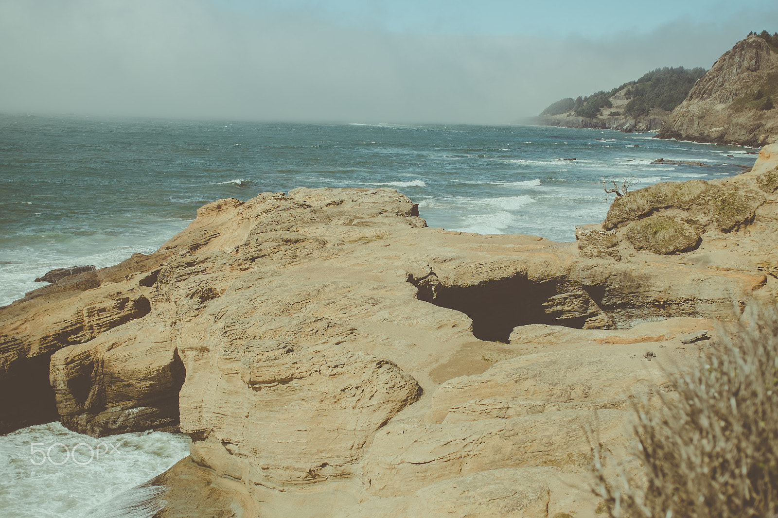 Fujifilm X-Pro1 + ZEISS Touit 32mm F1.8 sample photo. Oregon coast photography