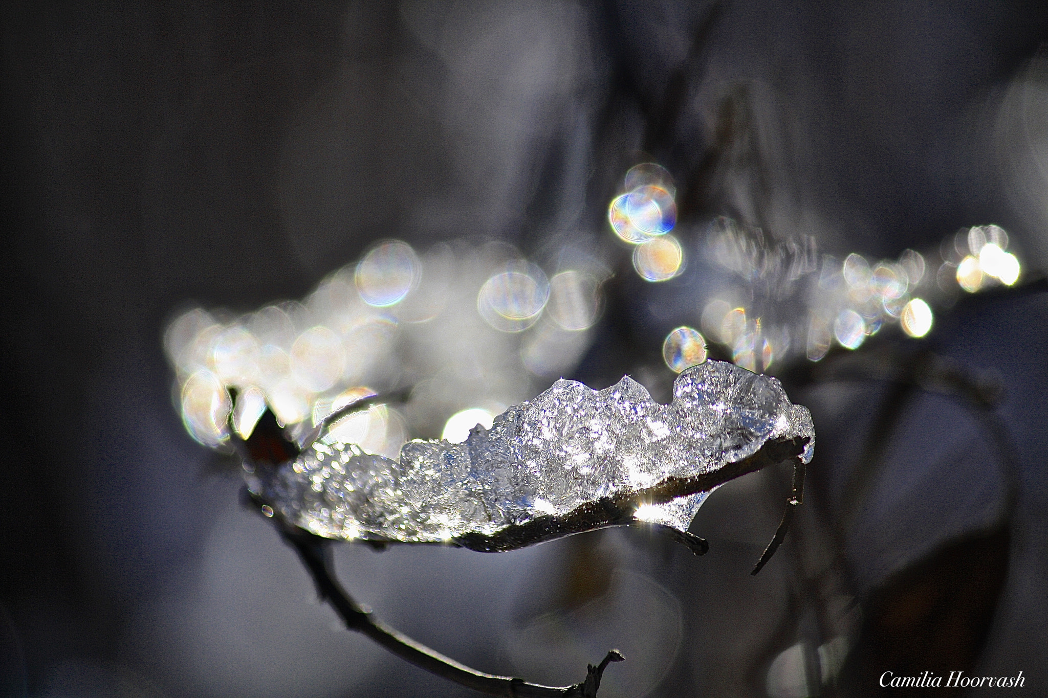 Canon EF-S 55-250mm F4-5.6 IS sample photo. Parkside walk photography