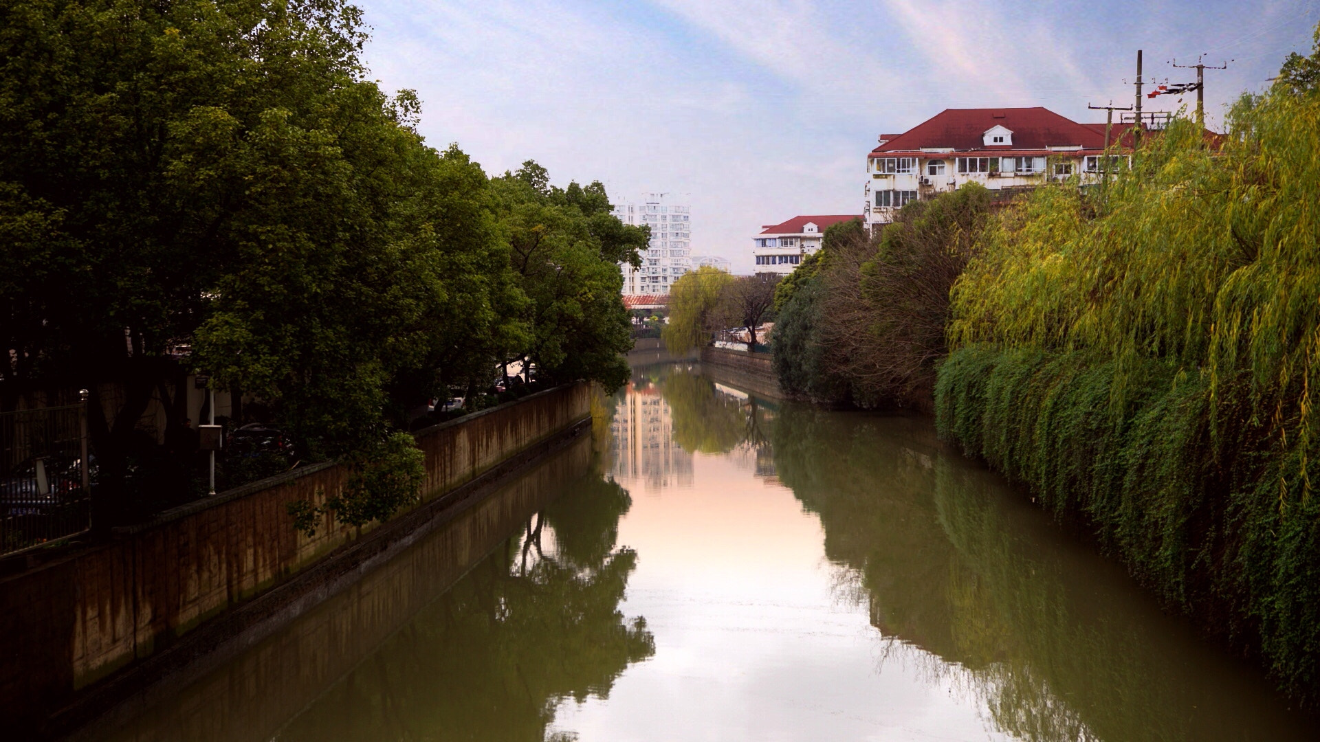 Sony E 30mm F3.5 sample photo. The home side, there is a nameless river near the river on a little flower photography