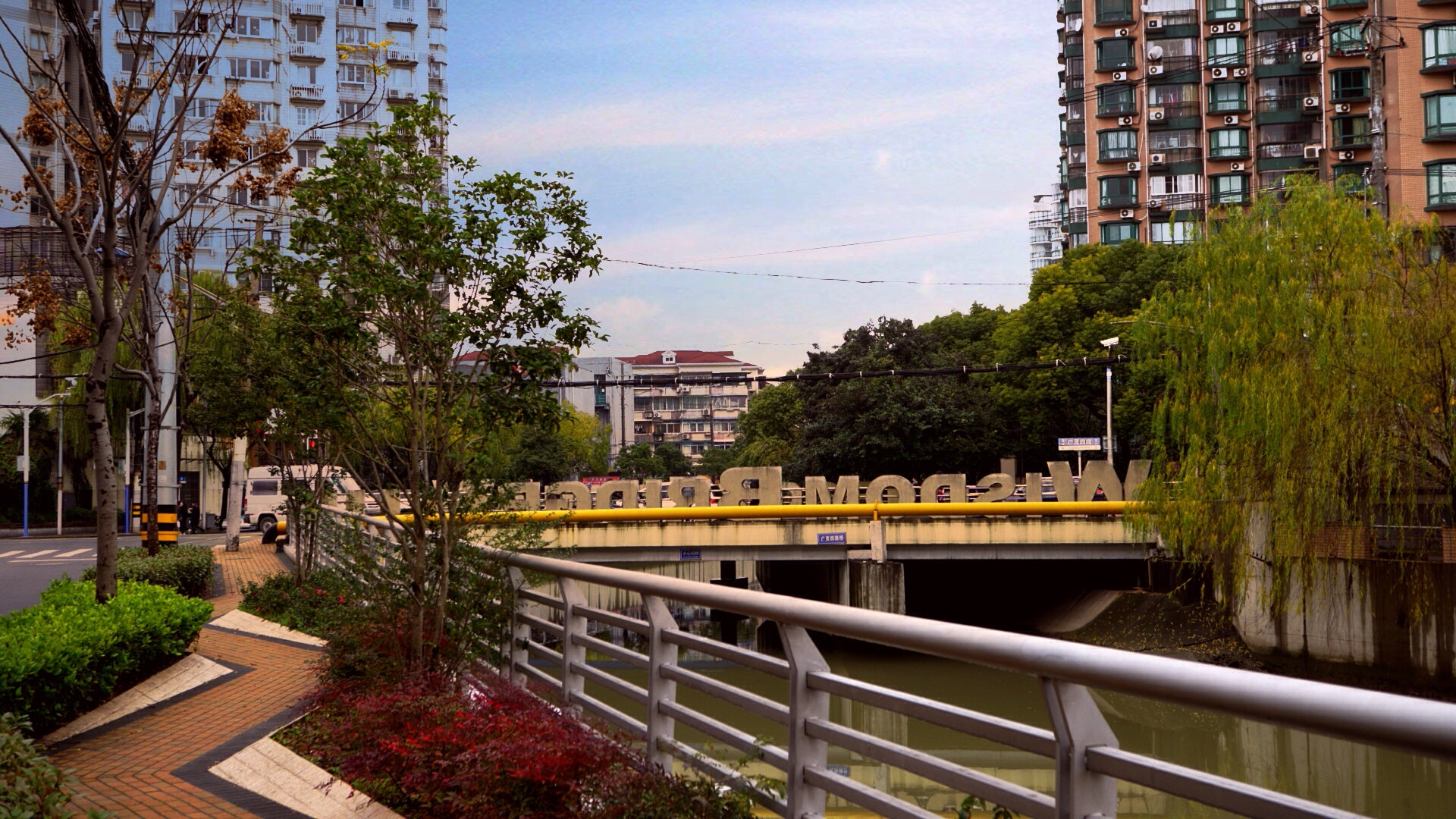 Sony a5100 + Sony E 30mm F3.5 sample photo. The home side, there is a nameless river near the river on a little flower photography