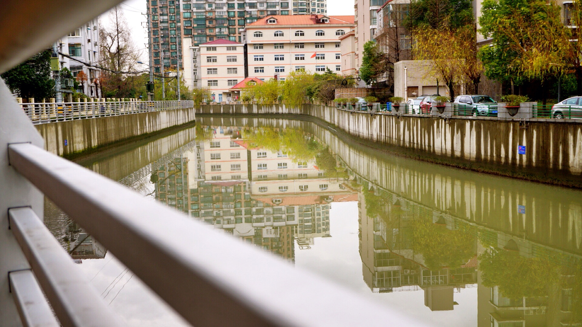 Sony a5100 + Sony E 30mm F3.5 sample photo. The home side, there is a nameless river near the river on a little flower photography