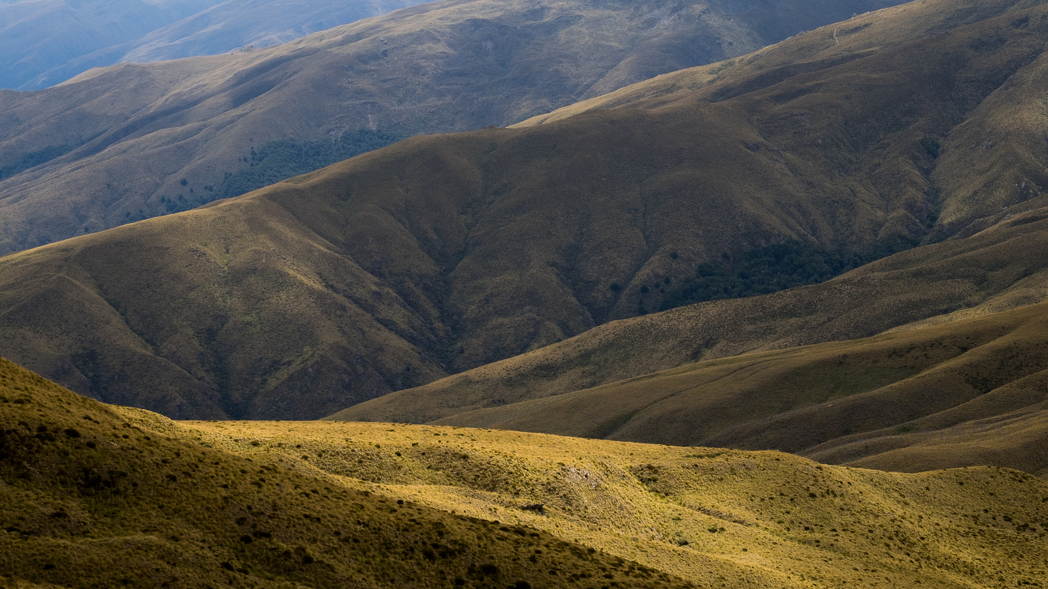Fujifilm X-T1 + Fujifilm XF 50-140mm F2.8 R LM OIS WR sample photo. Shafts of light photography