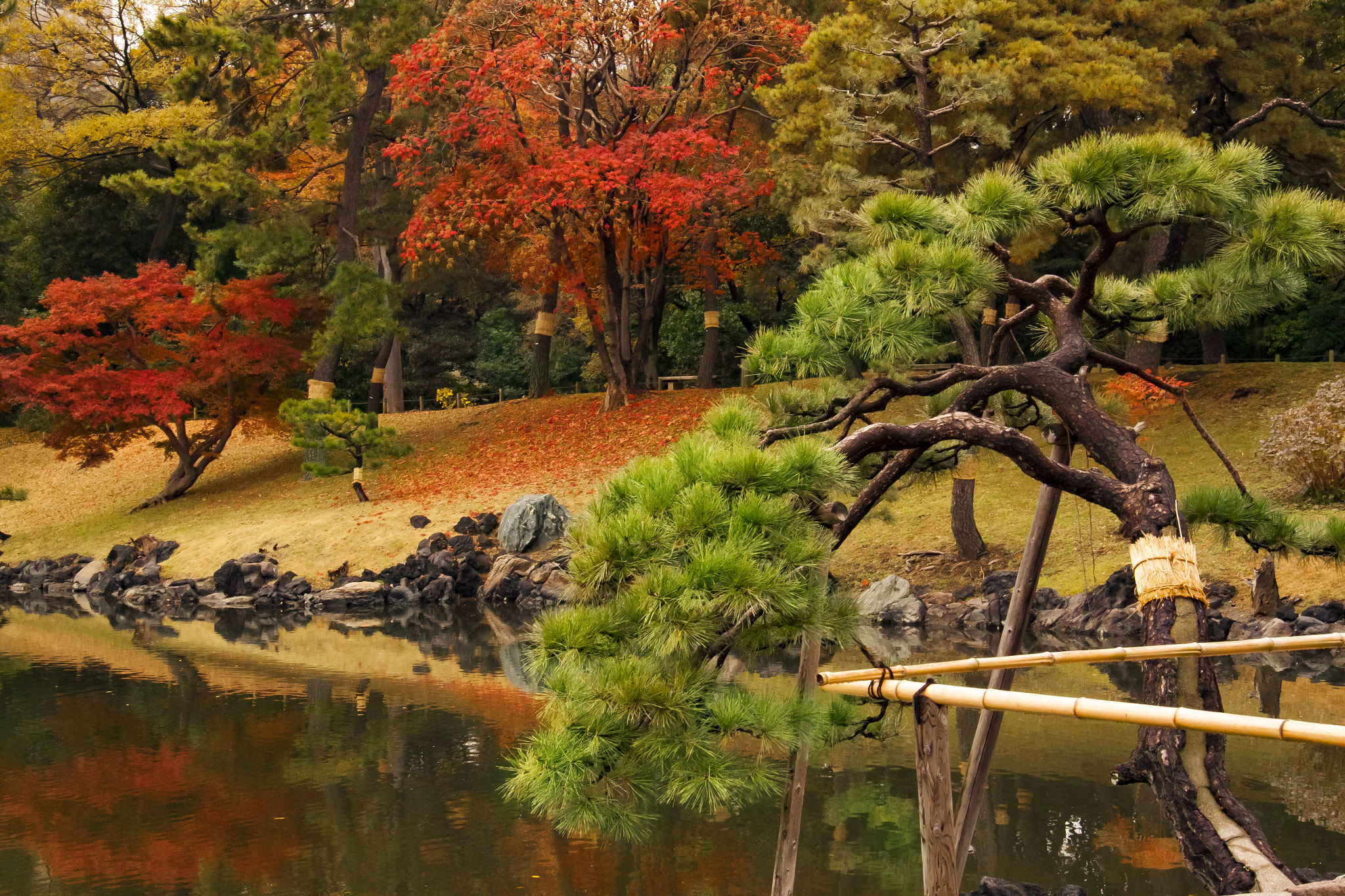 Canon EOS 500D (EOS Rebel T1i / EOS Kiss X3) sample photo. Japanese garden photography