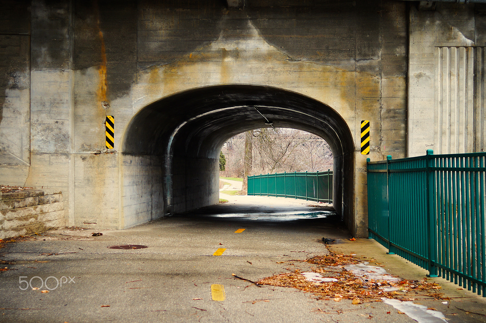 Sony SLT-A58 sample photo. Root river pathway photography