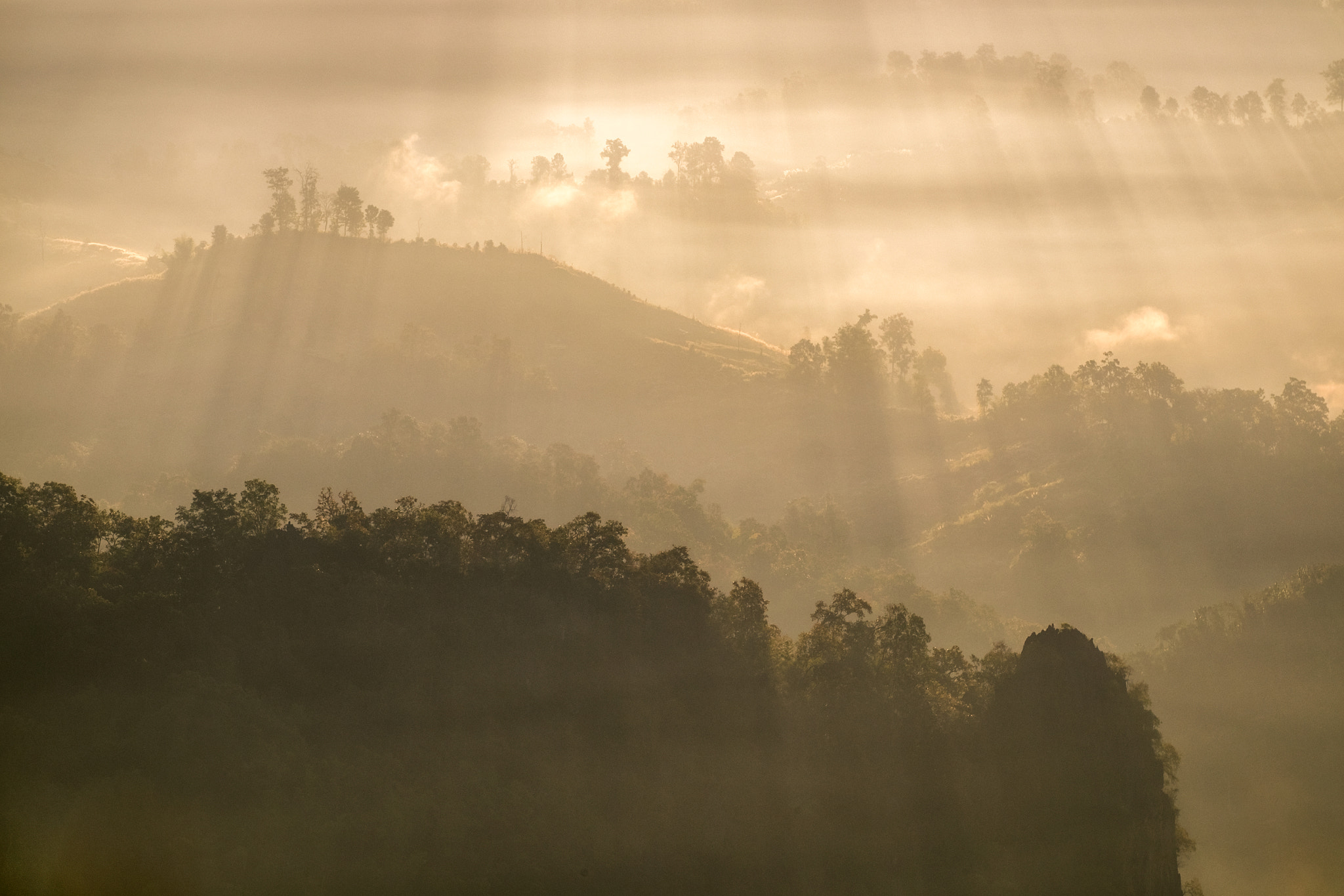 Fujifilm X-E2 + Fujifilm XF 55-200mm F3.5-4.8 R LM OIS sample photo. Sunshine on foggy hill photography